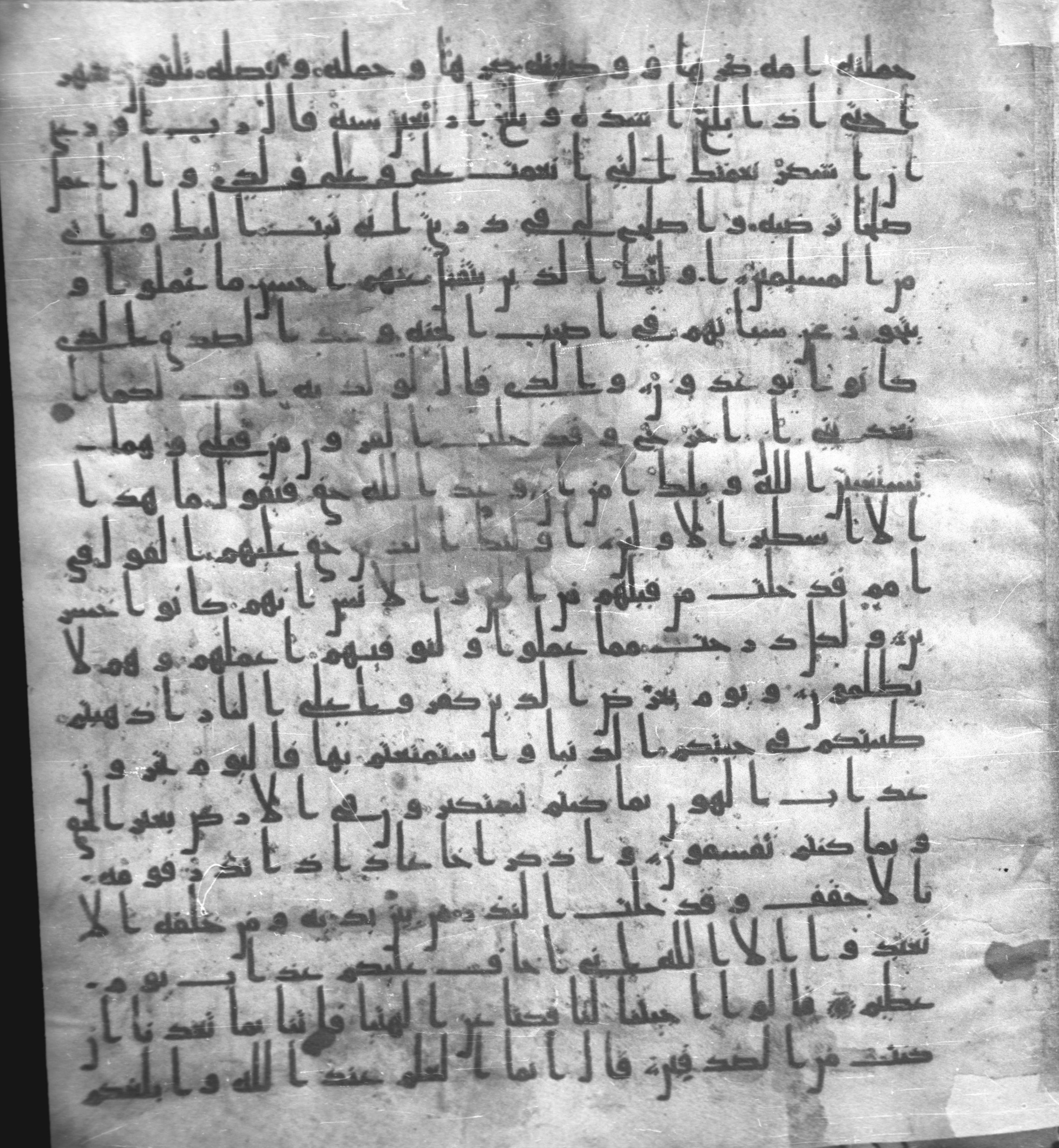 Staatsbibliothek zu Berlin, Ms. or. fol. 4313 (Scan 4), in Ḥiǧāzī (close to type II) script, showing Surah 46:23 from Mid to Late 7th Century AD found in Fustat (Old Cairo), Egypt, currently housed at Staatsbibliothek zu Berlin, Berlin