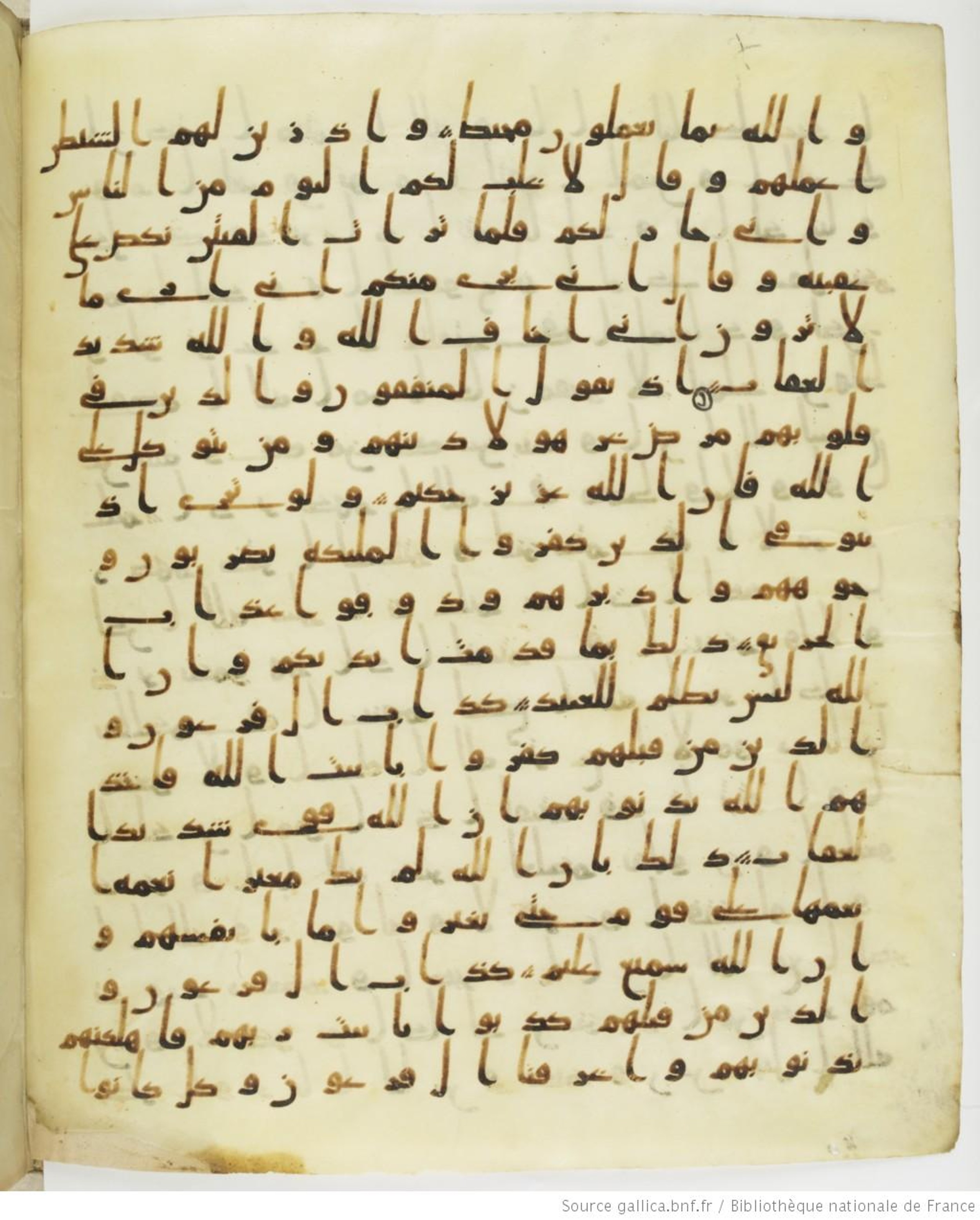 Staatsbibliothek zu Berlin, Ms. or. fol. 4313 (Scan 1), in Ḥiǧāzī (close to type II) script, showing Surah 8:49 from Mid to Late 7th Century AD found in Fustat (Old Cairo), Egypt, currently housed at Staatsbibliothek zu Berlin, Berlin