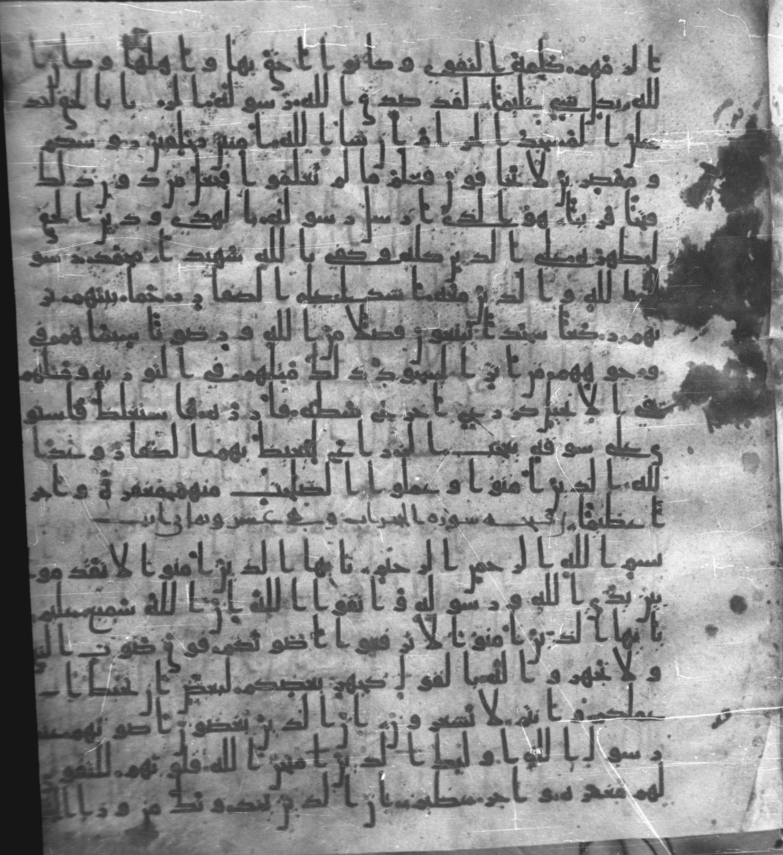 Staatsbibliothek zu Berlin, Ms. or. fol. 4313 (Scan 2), in Ḥiǧāzī (close to type II) script, showing Surah 49:2 from Mid to Late 7th Century AD found in Fustat (Old Cairo), Egypt, currently housed at Staatsbibliothek zu Berlin, Berlin