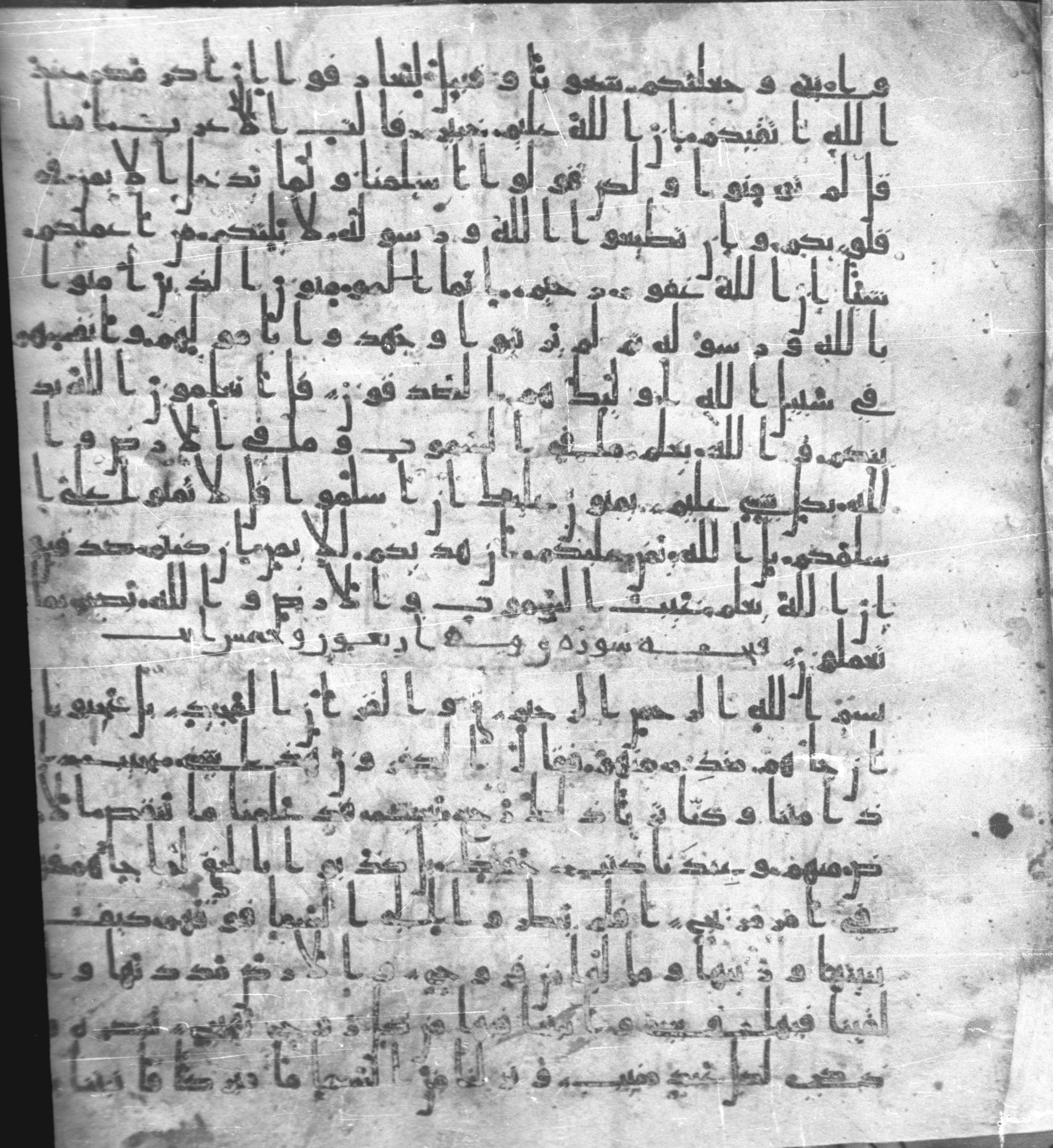 Staatsbibliothek zu Berlin, Ms. or. fol. 4313 (Scan 2), in Ḥiǧāzī (close to type II) script, showing Surah 49:18 from Mid to Late 7th Century AD found in Fustat (Old Cairo), Egypt, currently housed at Staatsbibliothek zu Berlin, Berlin