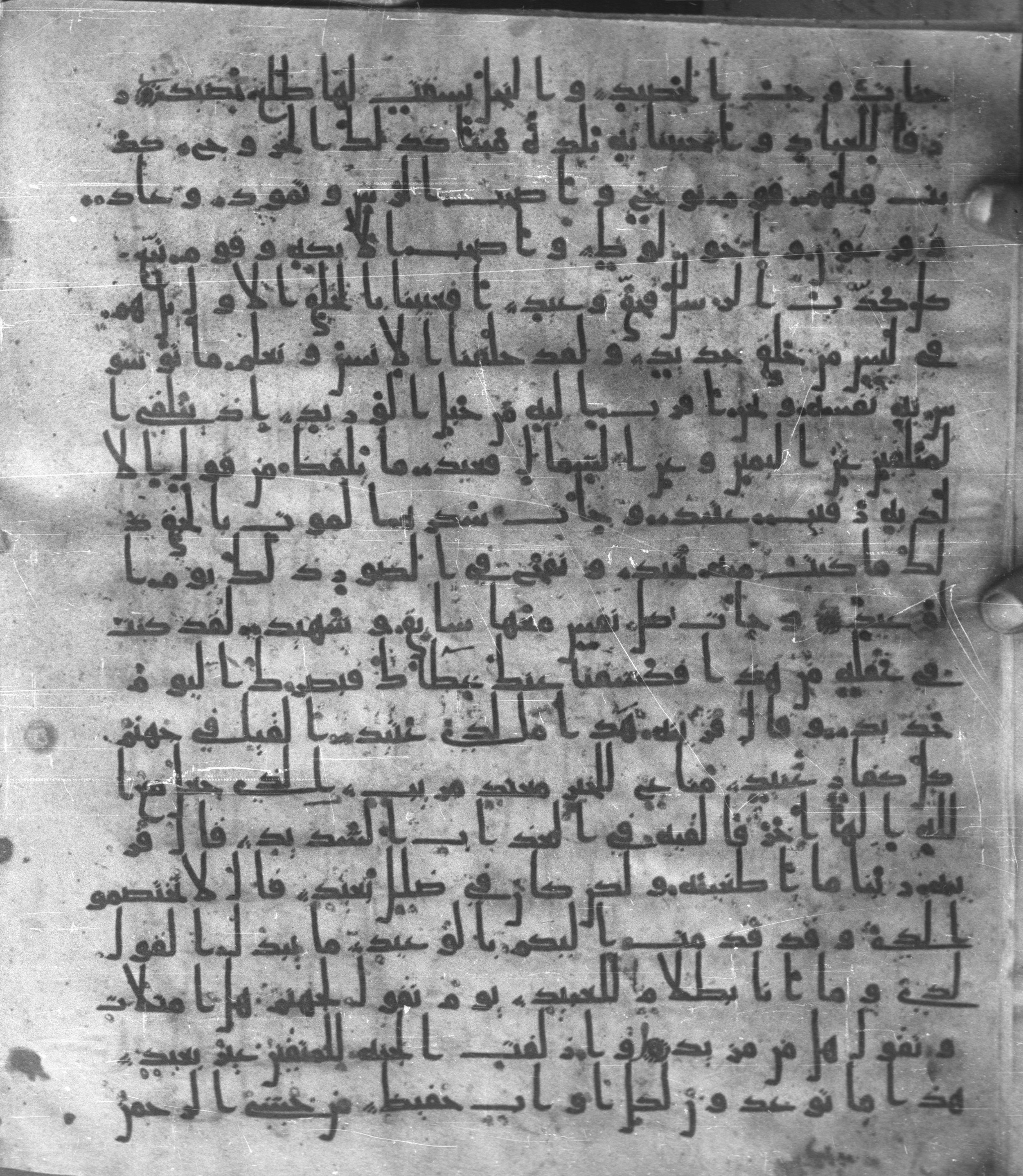 Staatsbibliothek zu Berlin, Ms. or. fol. 4313 (Scan 2), in Ḥiǧāzī (close to type II) script, showing Surah 50:21 from Mid to Late 7th Century AD found in Fustat (Old Cairo), Egypt, currently housed at Staatsbibliothek zu Berlin, Berlin