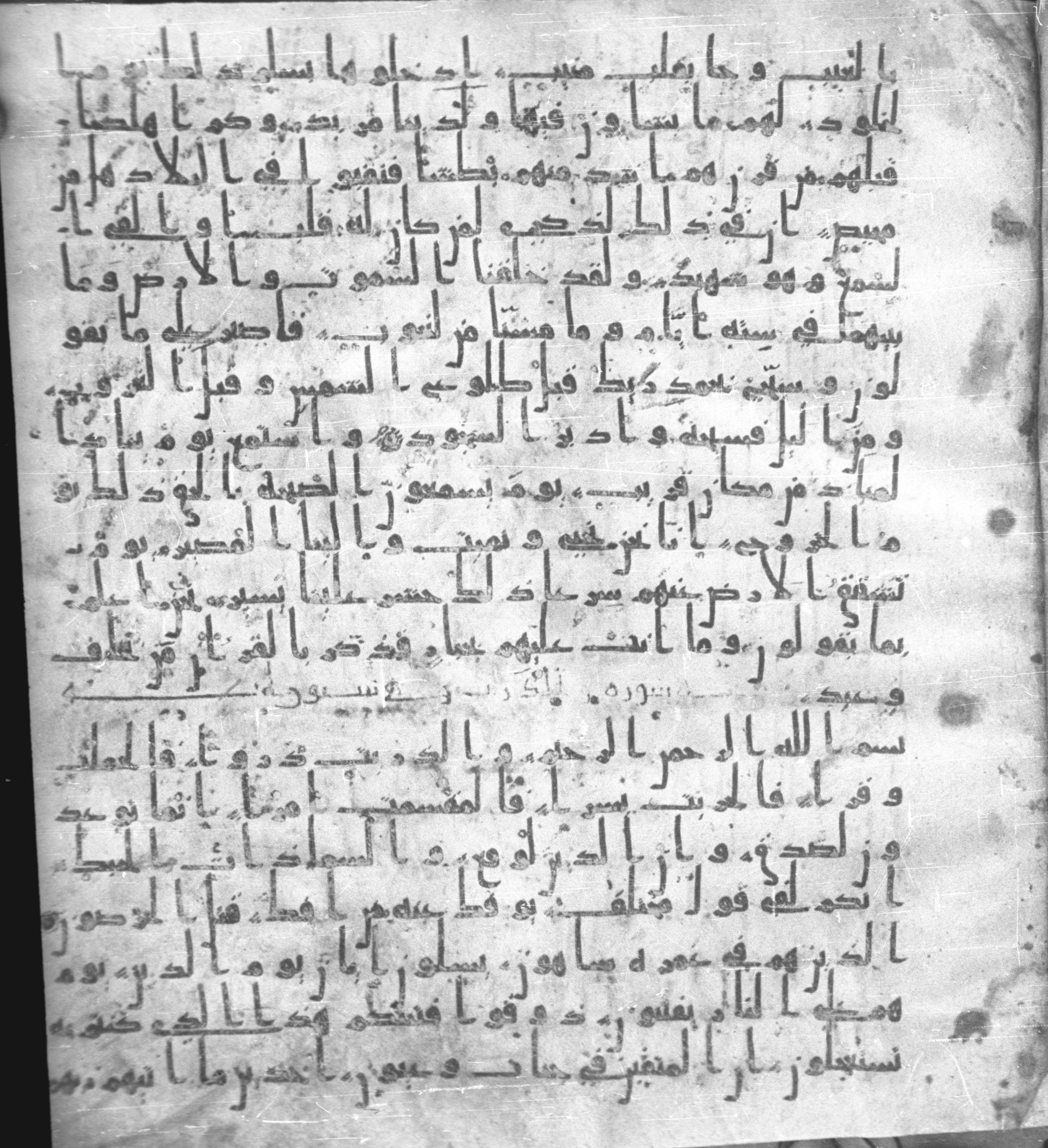 Staatsbibliothek zu Berlin, Ms. or. fol. 4313 (Scan 2), in Ḥiǧāzī (close to type II) script, showing Surah 51:13 from Mid to Late 7th Century AD found in Fustat (Old Cairo), Egypt, currently housed at Staatsbibliothek zu Berlin, Berlin