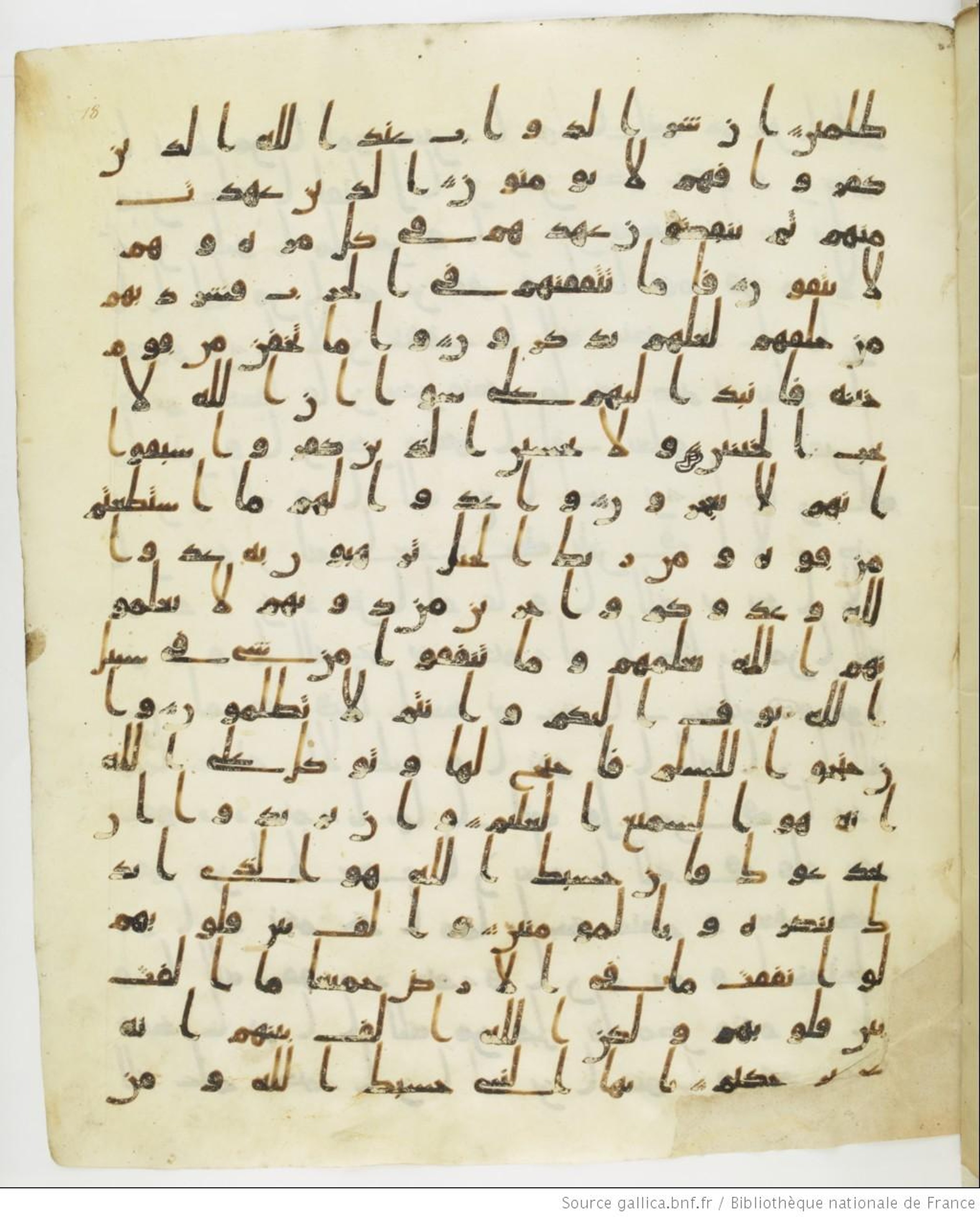 Staatsbibliothek zu Berlin, Ms. or. fol. 4313 (Scan 1), in Ḥiǧāzī (close to type II) script, showing Surah 8:64 from Mid to Late 7th Century AD found in Fustat (Old Cairo), Egypt, currently housed at Staatsbibliothek zu Berlin, Berlin