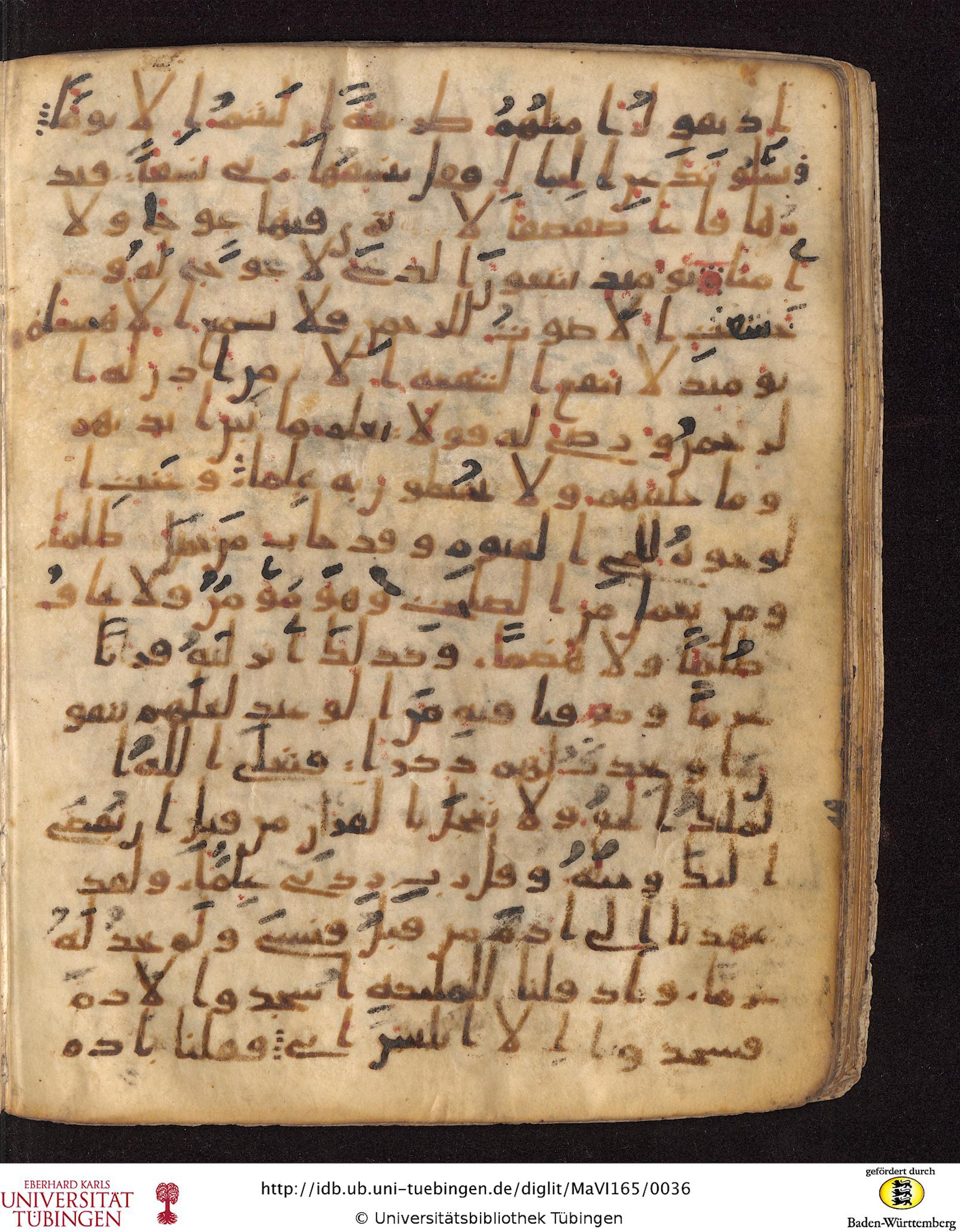 Staatsbibliothek zu Berlin, Ms. or. fol. 4313 (Scan 3), in Ḥiǧāzī (close to type II) script, showing Surah 20:113 from Mid to Late 7th Century AD found in Fustat (Old Cairo), Egypt, currently housed at Staatsbibliothek zu Berlin, Berlin