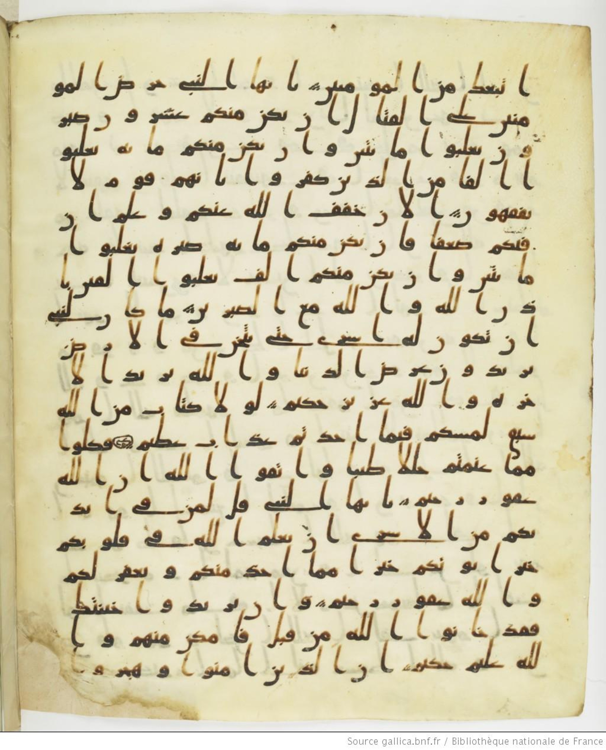 Staatsbibliothek zu Berlin, Ms. or. fol. 4313 (Scan 1), in Ḥiǧāzī (close to type II) script, showing Surah 8:71 from Mid to Late 7th Century AD found in Fustat (Old Cairo), Egypt, currently housed at Staatsbibliothek zu Berlin, Berlin