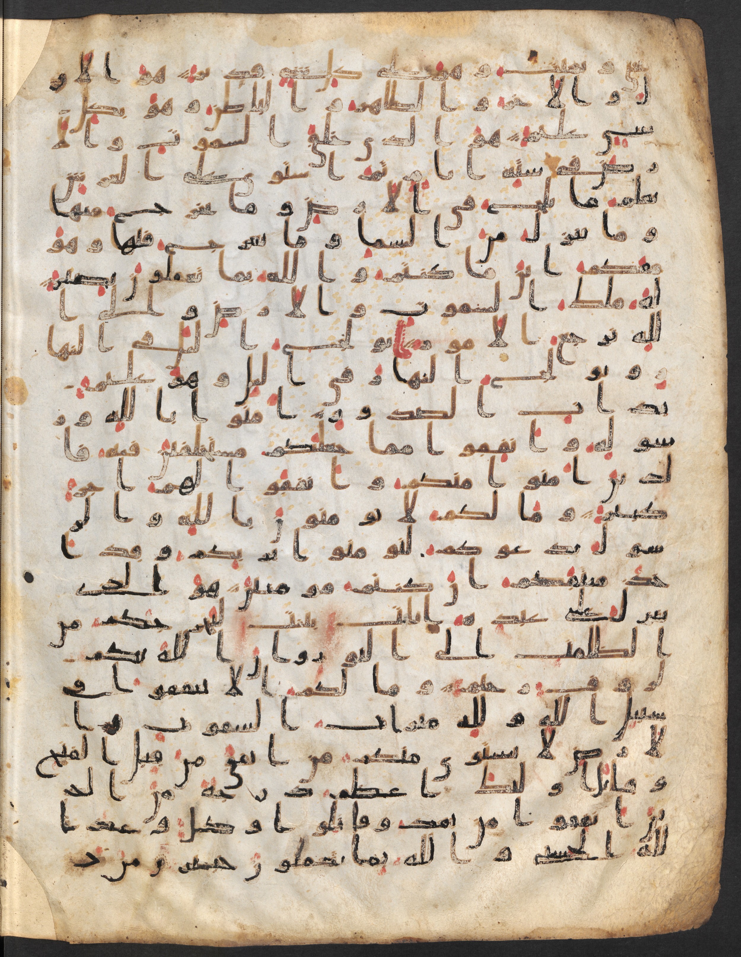 Staatsbibliothek zu Berlin, Ms. or. fol. 4313 (Scan 1), in Ḥiǧāzī (close to type II) script, showing Surah 57:3 from Mid to Late 7th Century AD found in Fustat (Old Cairo), Egypt, currently housed at Staatsbibliothek zu Berlin, Berlin