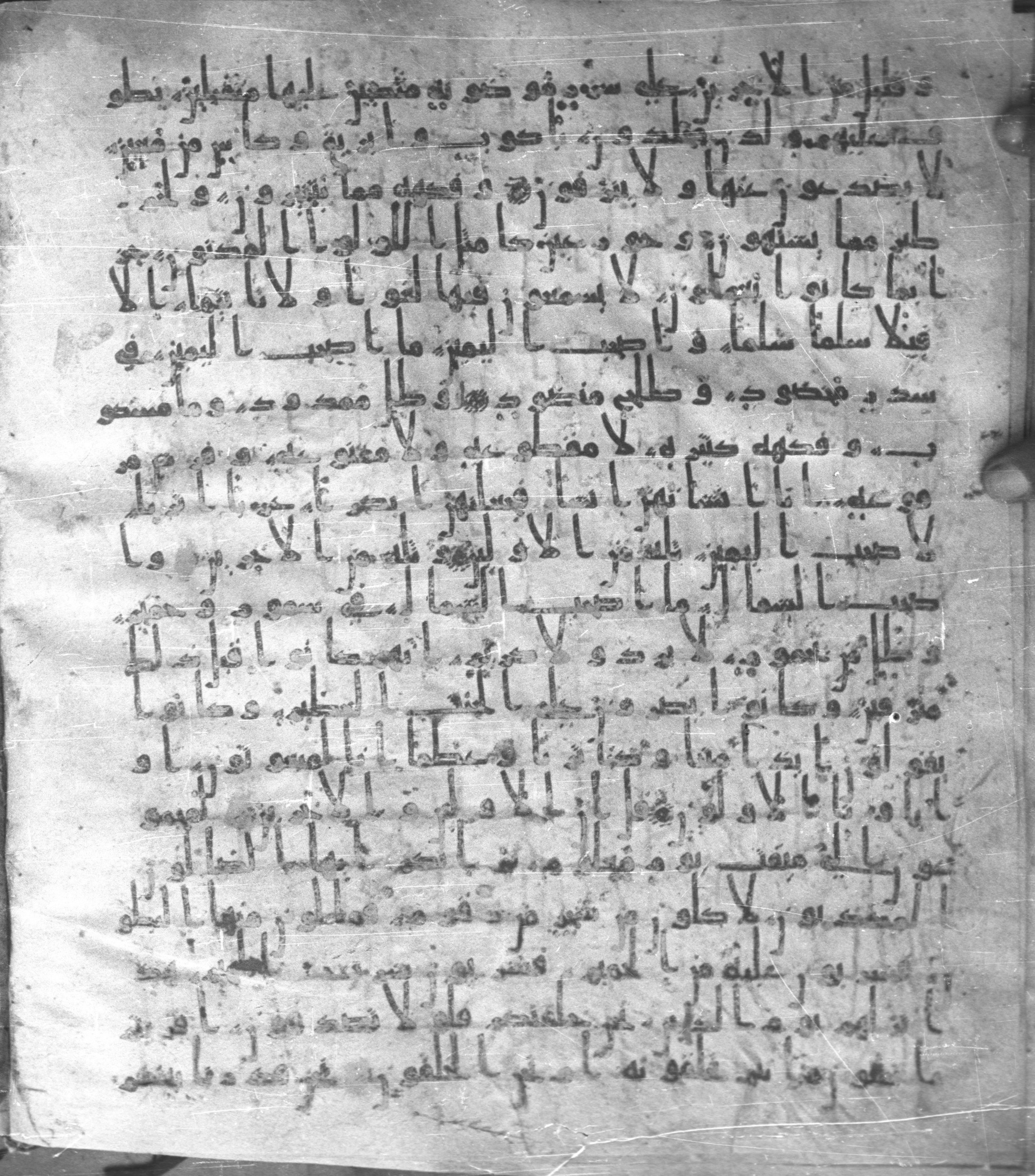 Staatsbibliothek zu Berlin, Ms. or. fol. 4313 (Scan 2), in Ḥiǧāzī (close to type II) script, showing Surah 56:21 from Mid to Late 7th Century AD found in Fustat (Old Cairo), Egypt, currently housed at Staatsbibliothek zu Berlin, Berlin