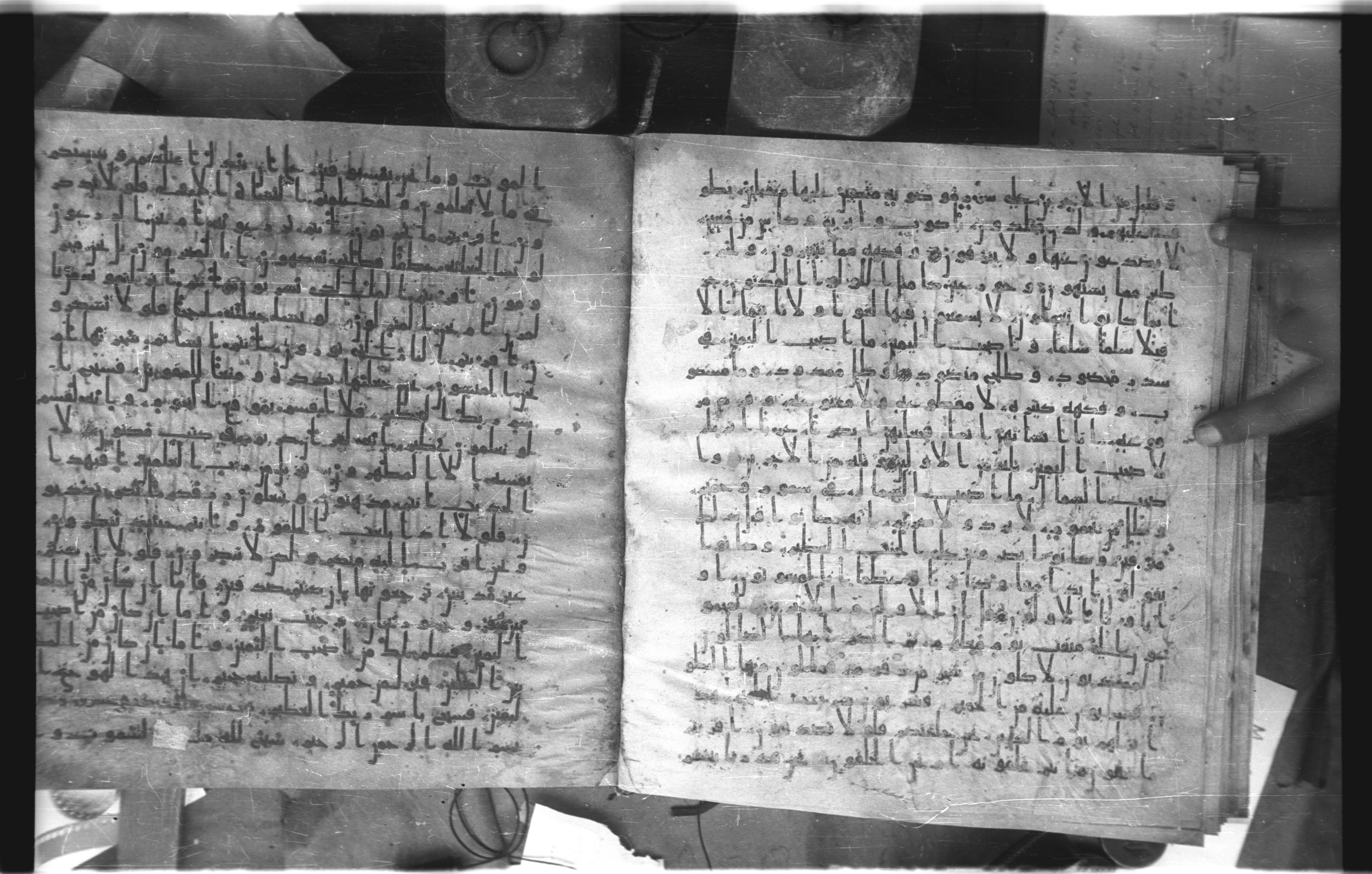 Staatsbibliothek zu Berlin, Ms. or. fol. 4313 (Scan 3), in Ḥiǧāzī (close to type II) script, showing Surah 56:21 from Mid to Late 7th Century AD found in Fustat (Old Cairo), Egypt, currently housed at Staatsbibliothek zu Berlin, Berlin