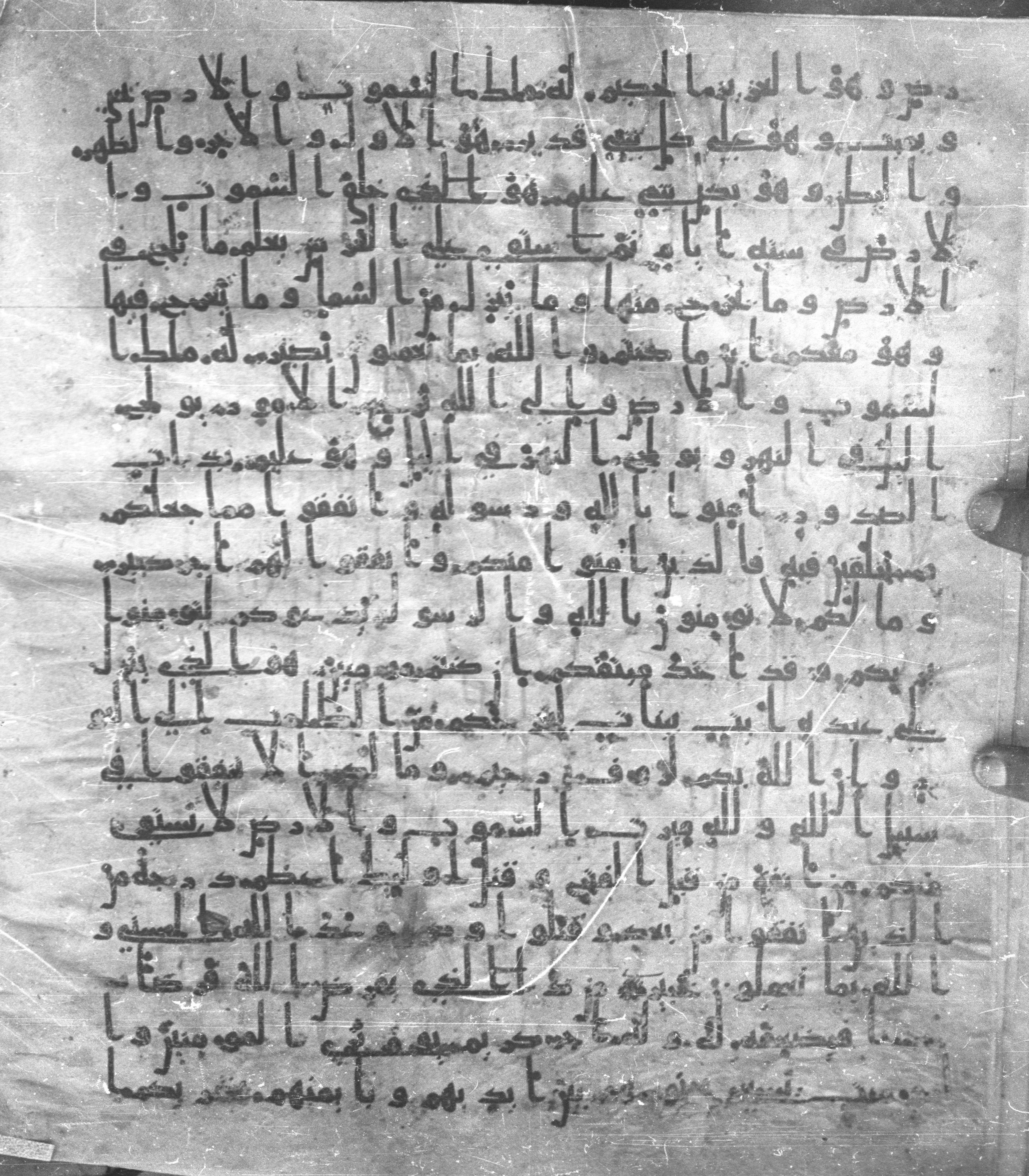 Staatsbibliothek zu Berlin, Ms. or. fol. 4313 (Scan 2), in Ḥiǧāzī (close to type II) script, showing Surah 57:3 from Mid to Late 7th Century AD found in Fustat (Old Cairo), Egypt, currently housed at Staatsbibliothek zu Berlin, Berlin