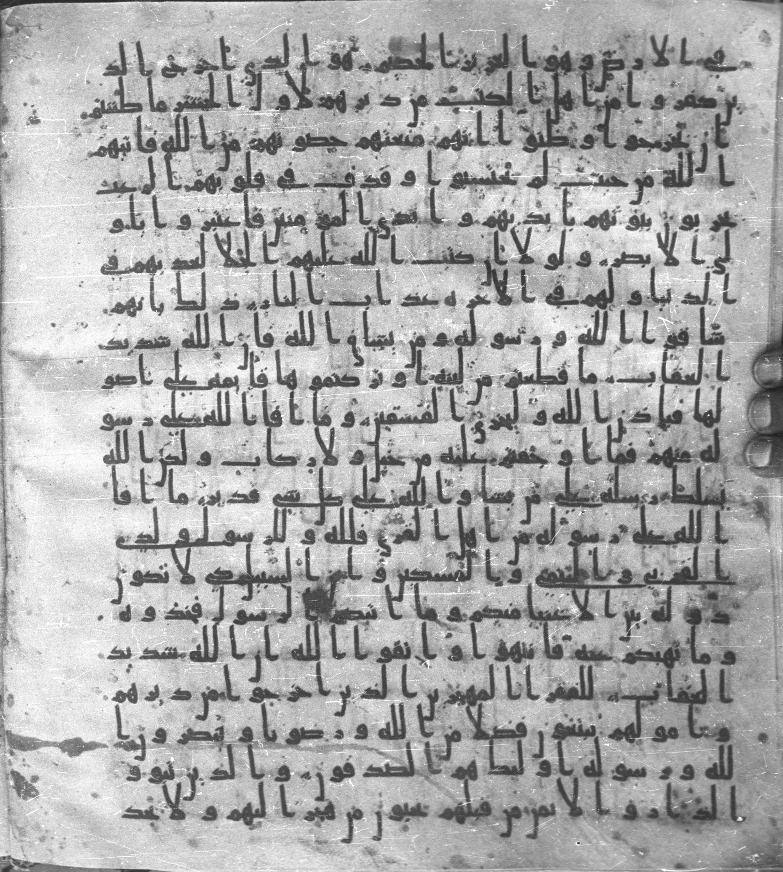 Staatsbibliothek zu Berlin, Ms. or. fol. 4313 (Scan 2), in Ḥiǧāzī (close to type II) script, showing Surah 59:3 from Mid to Late 7th Century AD found in Fustat (Old Cairo), Egypt, currently housed at Staatsbibliothek zu Berlin, Berlin