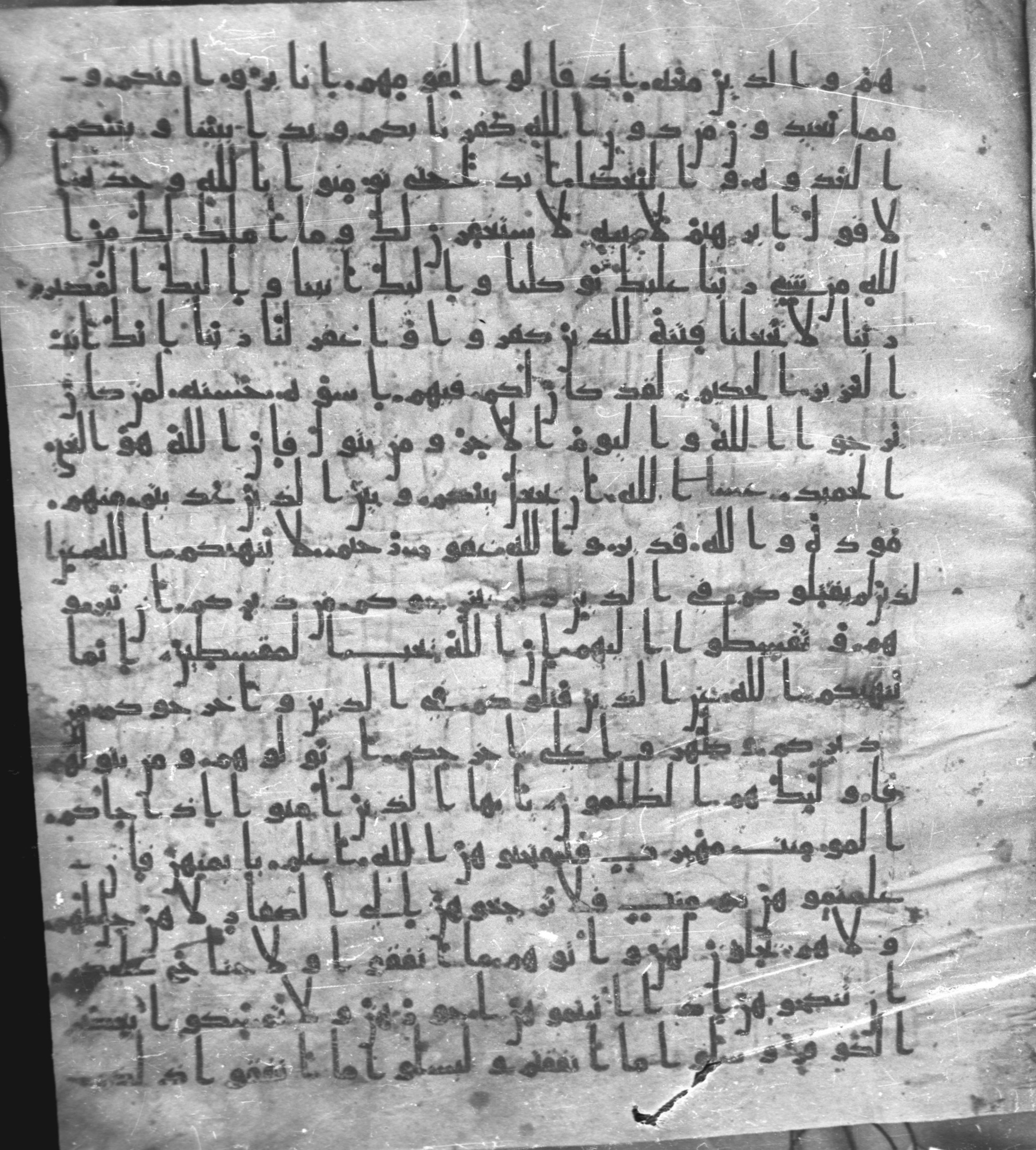 Staatsbibliothek zu Berlin, Ms. or. fol. 4313 (Scan 3), in Ḥiǧāzī (close to type II) script, showing Surah 60:7 from Mid to Late 7th Century AD found in Fustat (Old Cairo), Egypt, currently housed at Staatsbibliothek zu Berlin, Berlin