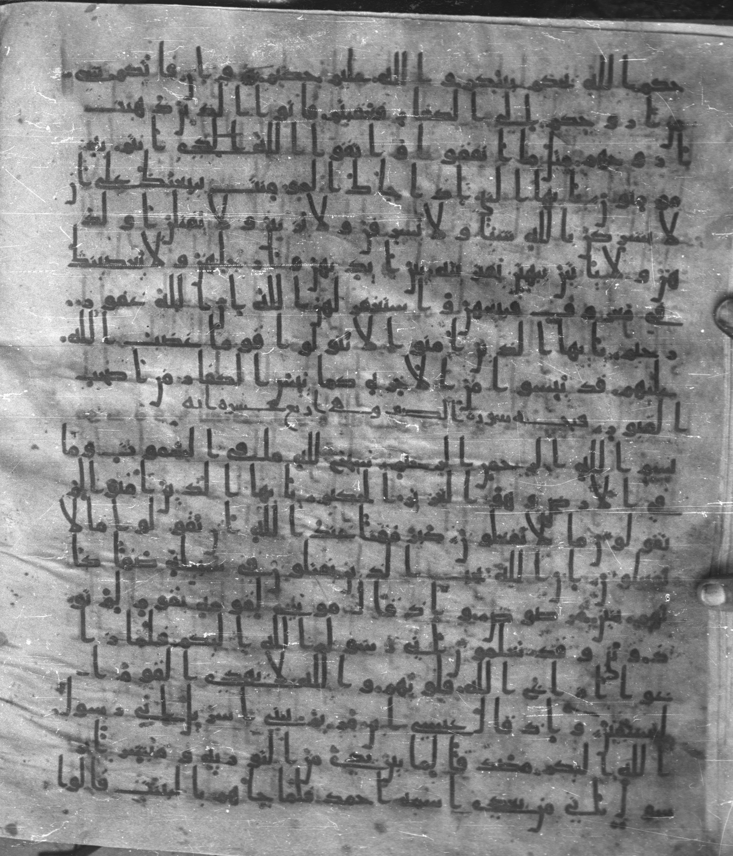 Staatsbibliothek zu Berlin, Ms. or. fol. 4313 (Scan 2), in Ḥiǧāzī (close to type II) script, showing Surah 60:13 from Mid to Late 7th Century AD found in Fustat (Old Cairo), Egypt, currently housed at Staatsbibliothek zu Berlin, Berlin