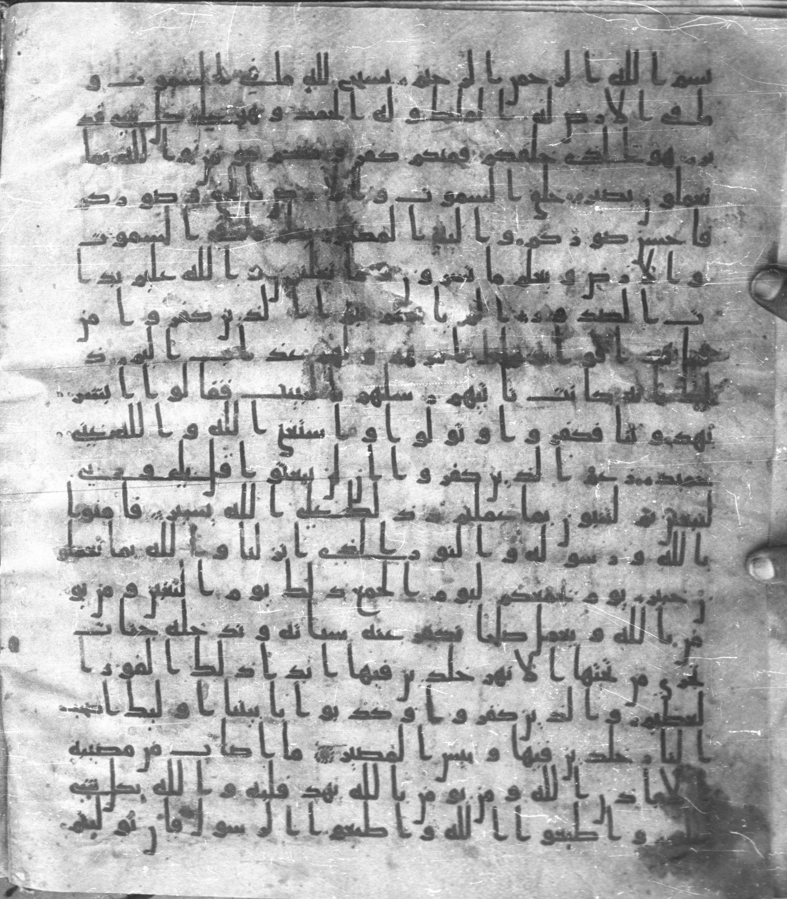Staatsbibliothek zu Berlin, Ms. or. fol. 4313 (Scan 2), in Ḥiǧāzī (close to type II) script, showing Surah 64:2 from Mid to Late 7th Century AD found in Fustat (Old Cairo), Egypt, currently housed at Staatsbibliothek zu Berlin, Berlin