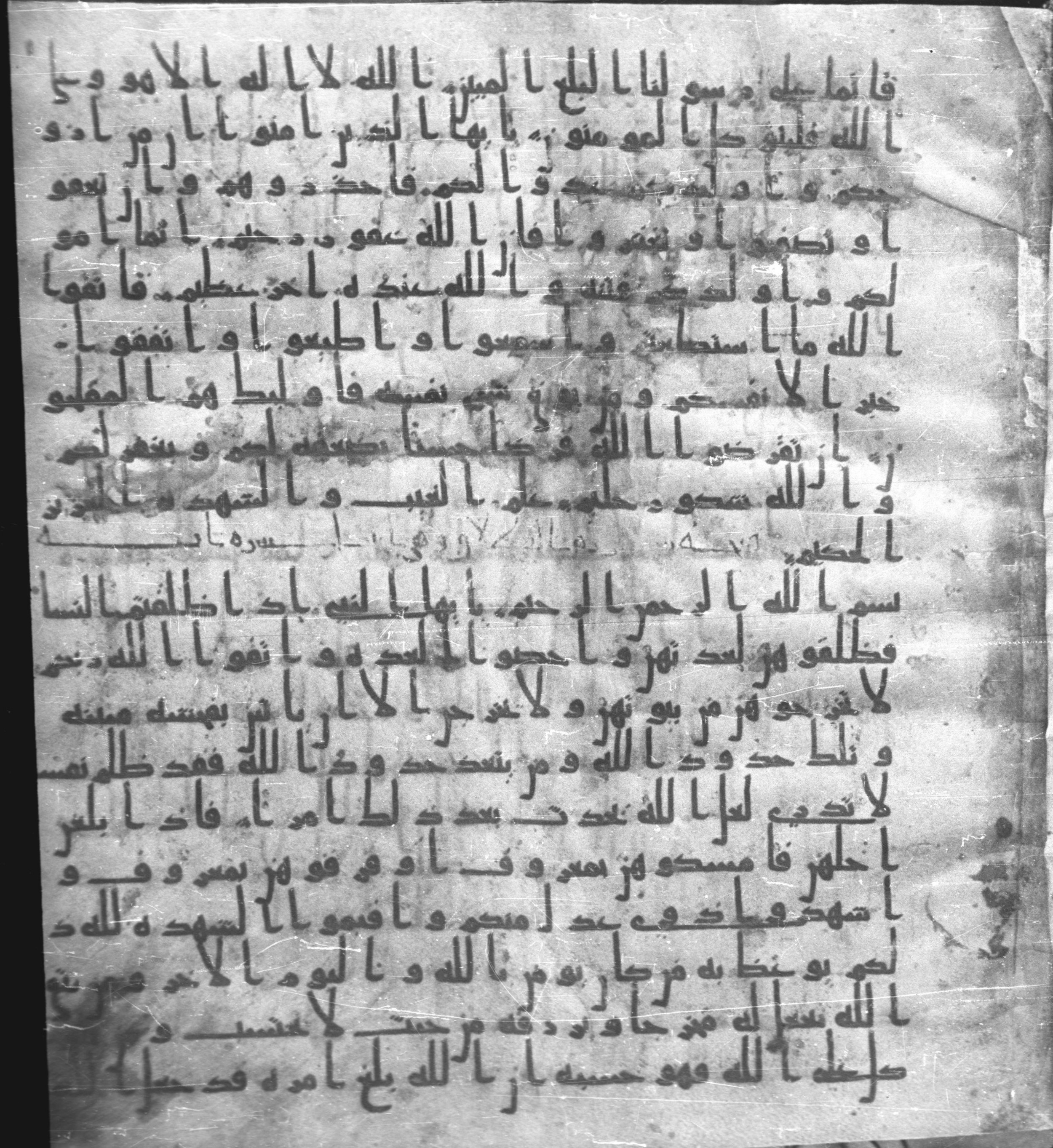 Staatsbibliothek zu Berlin, Ms. or. fol. 4313 (Scan 2), in Ḥiǧāzī (close to type II) script, showing Surah 64:13 from Mid to Late 7th Century AD found in Fustat (Old Cairo), Egypt, currently housed at Staatsbibliothek zu Berlin, Berlin