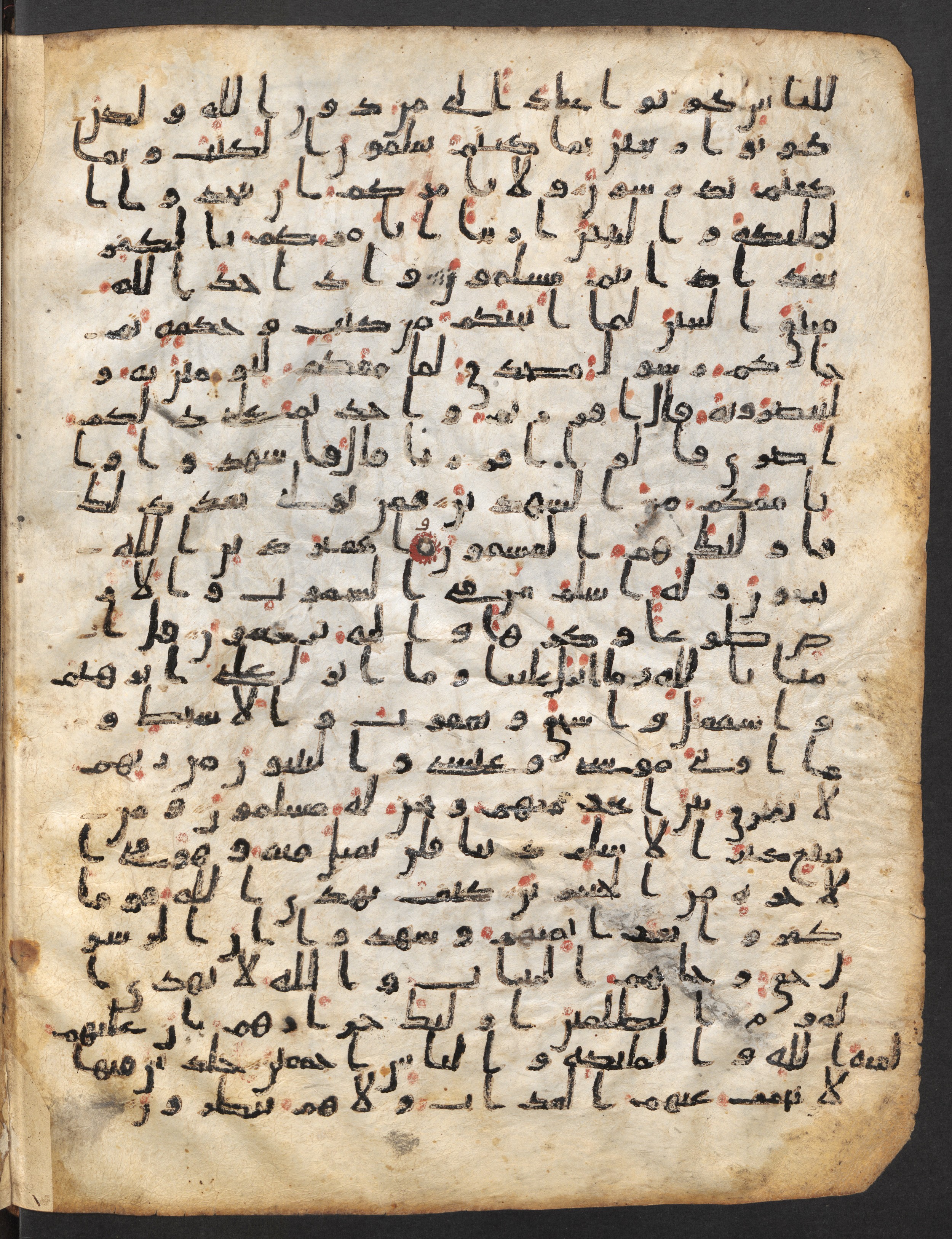 Staatsbibliothek zu Berlin, Ms. or. fol. 4313 (Scan 1), in Ḥiǧāzī (close to type II) script, showing Surah 3:87 from Mid to Late 7th Century AD found in Fustat (Old Cairo), Egypt, currently housed at Staatsbibliothek zu Berlin, Berlin