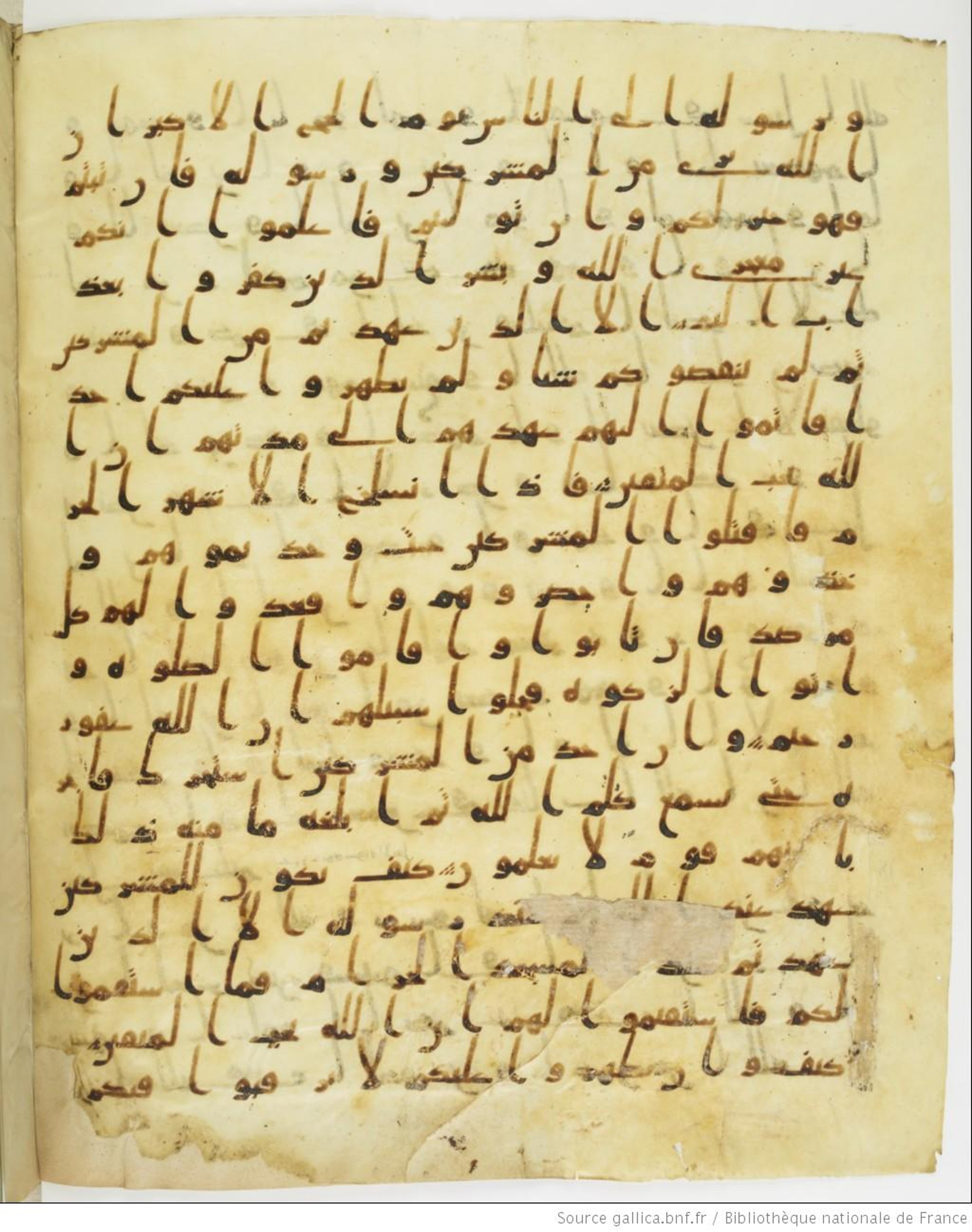 Staatsbibliothek zu Berlin, Ms. or. fol. 4313 (Scan 1), in Ḥiǧāzī (close to type II) script, showing Surah 9:7 from Mid to Late 7th Century AD found in Fustat (Old Cairo), Egypt, currently housed at Staatsbibliothek zu Berlin, Berlin