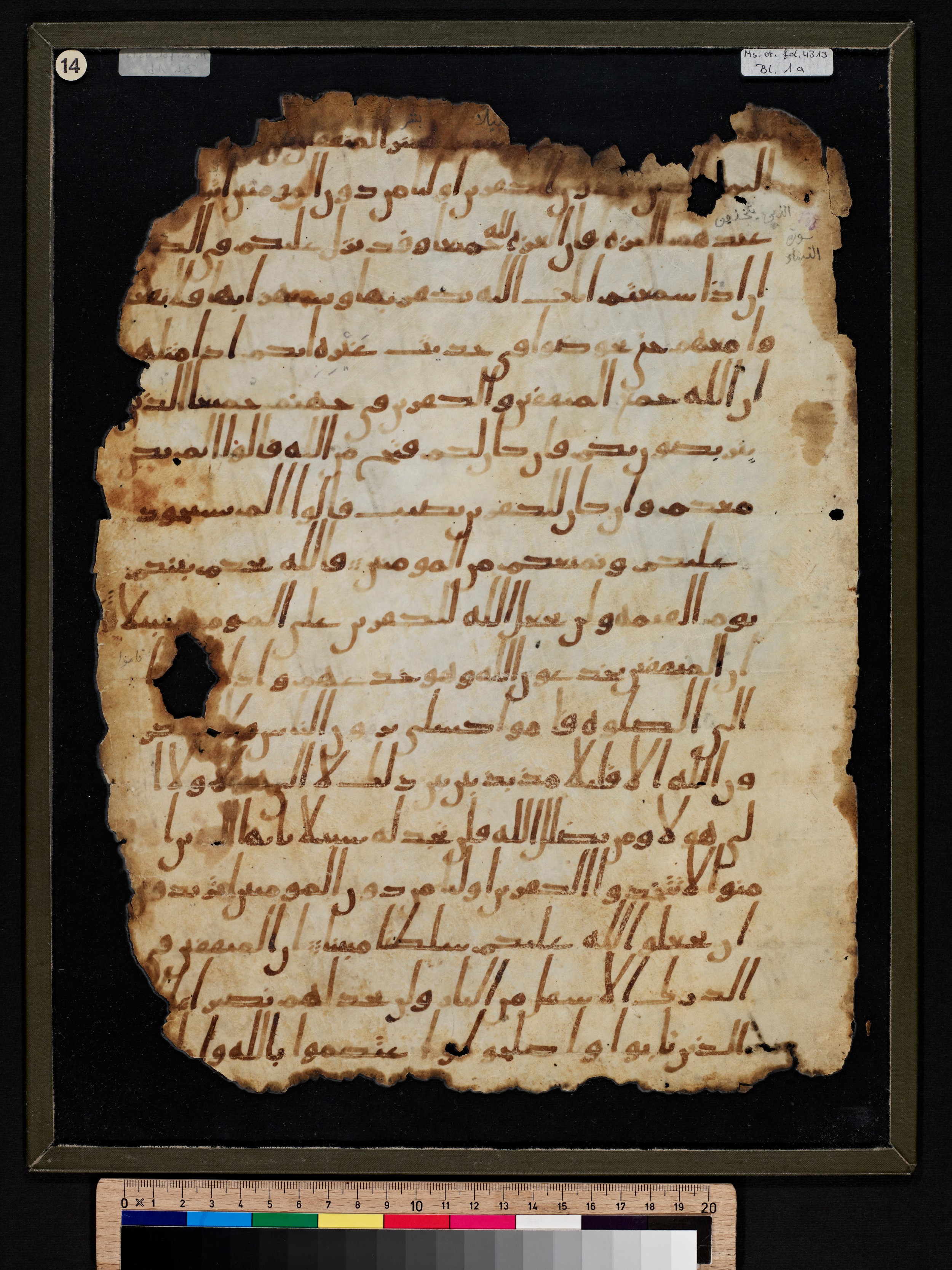 Staatsbibliothek zu Berlin, Ms. or. fol. 4313 (Scan 2), in Ḥiǧāzī (close to type II) script, showing Surah 4:137 from Mid to Late 7th Century AD found in Fustat (Old Cairo), Egypt, currently housed at Staatsbibliothek zu Berlin, Berlin