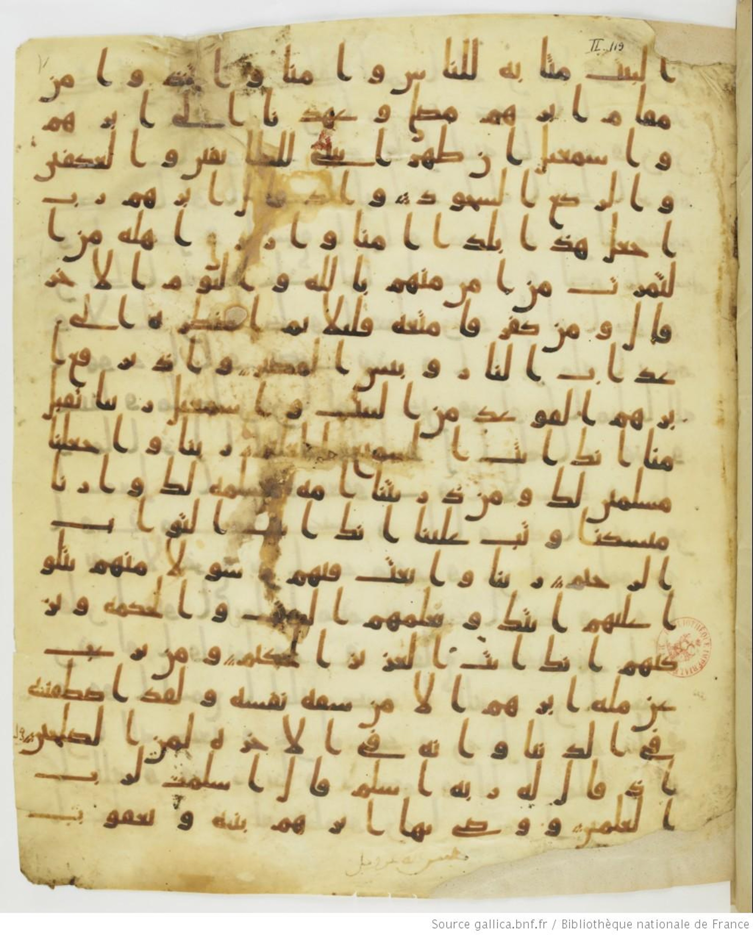 Staatsbibliothek zu Berlin, Ms. or. fol. 4313 (Scan 2), in Ḥiǧāzī (close to type II) script, showing Surah 2:131 from Mid to Late 7th Century AD found in Fustat (Old Cairo), Egypt, currently housed at Staatsbibliothek zu Berlin, Berlin