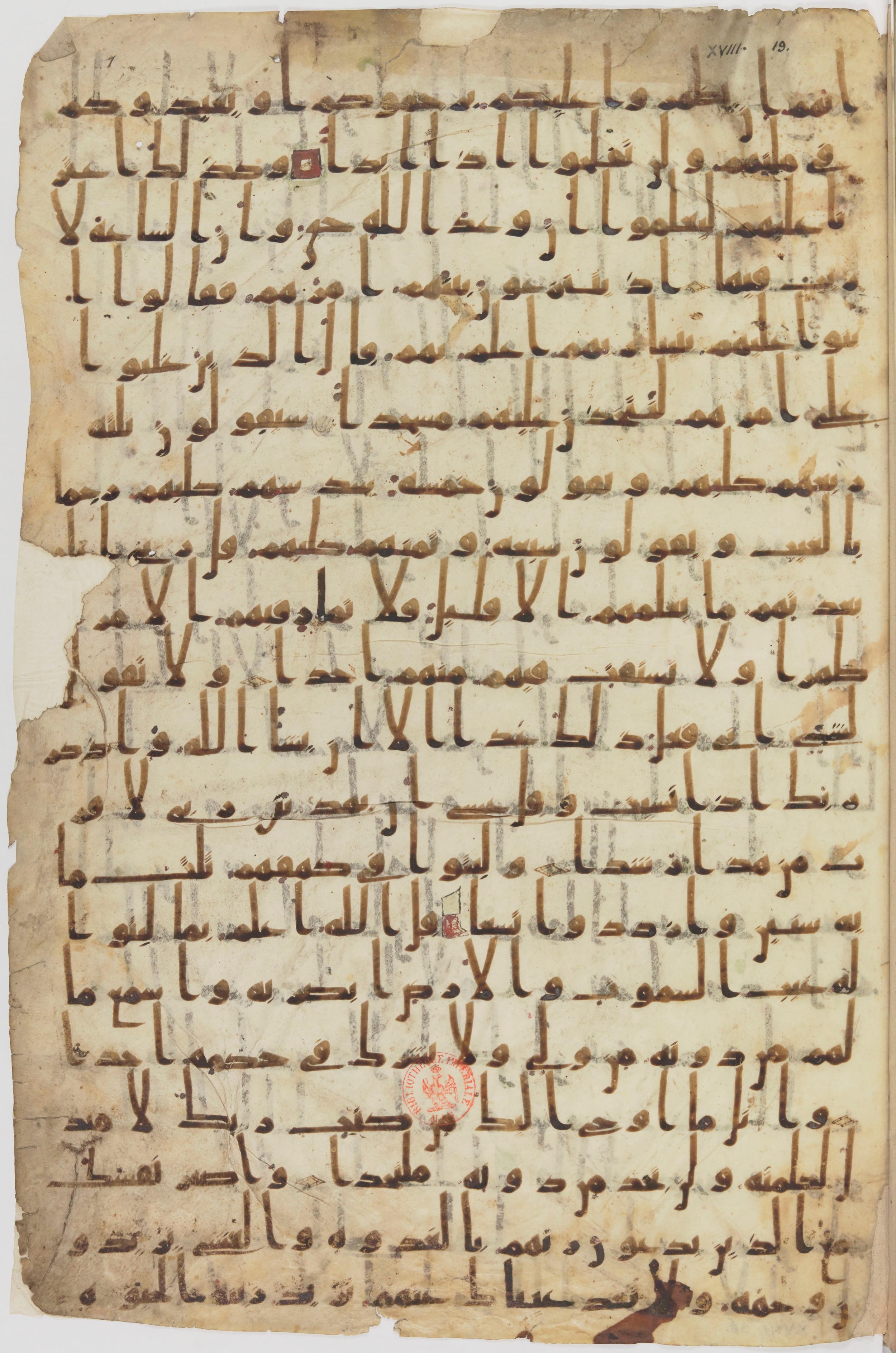 Staatsbibliothek zu Berlin, Ms. or. fol. 4313 (Scan 5), in Ḥiǧāzī (close to type II) script, showing Surah 18:21 from Mid to Late 7th Century AD found in Fustat (Old Cairo), Egypt, currently housed at Staatsbibliothek zu Berlin, Berlin