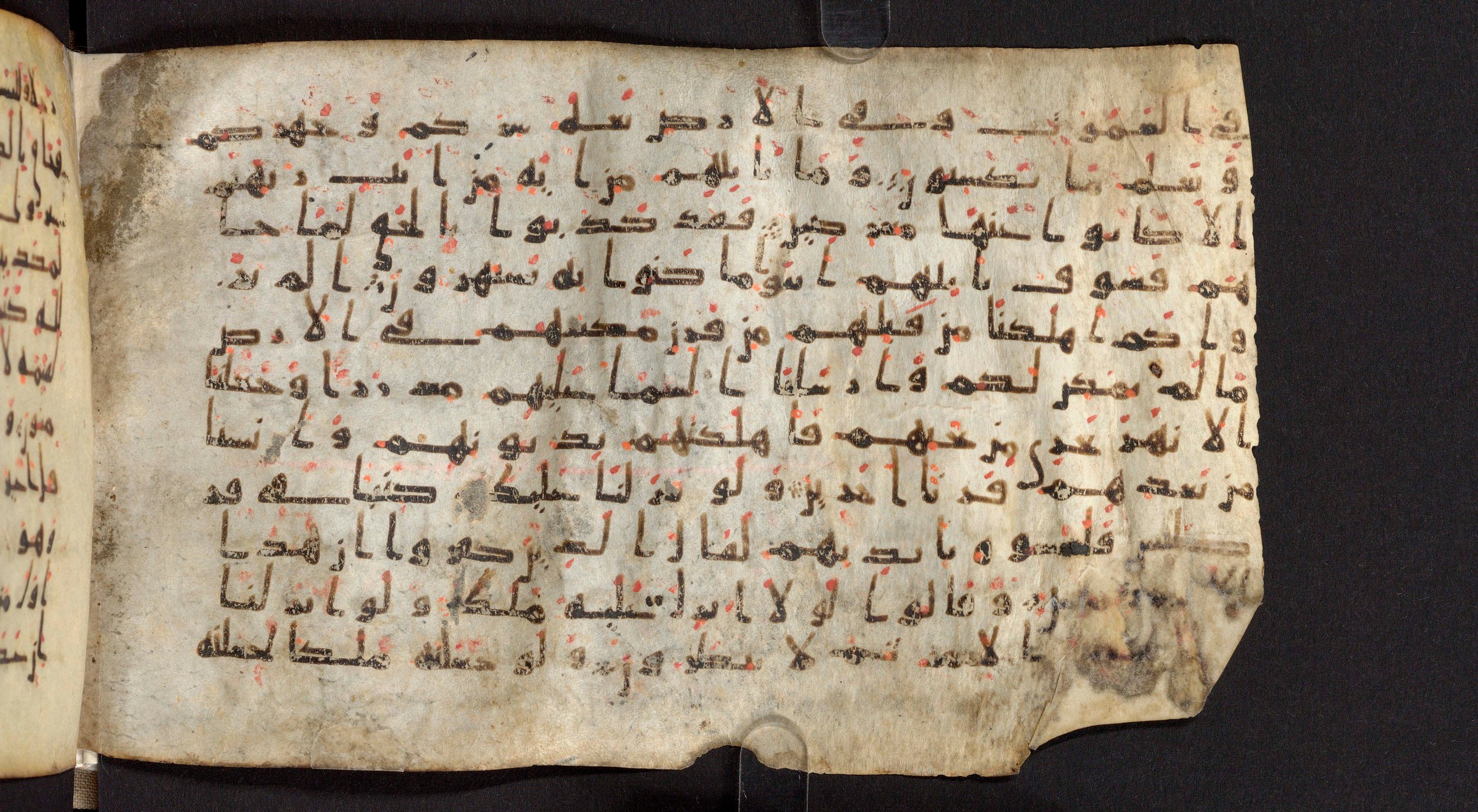 Staatsbibliothek zu Berlin, Ms. or. fol. 4313 (Scan 1), in Ḥiǧāzī (close to type II) script, showing Surah 6:7 from Mid to Late 7th Century AD found in Fustat (Old Cairo), Egypt, currently housed at Staatsbibliothek zu Berlin, Berlin