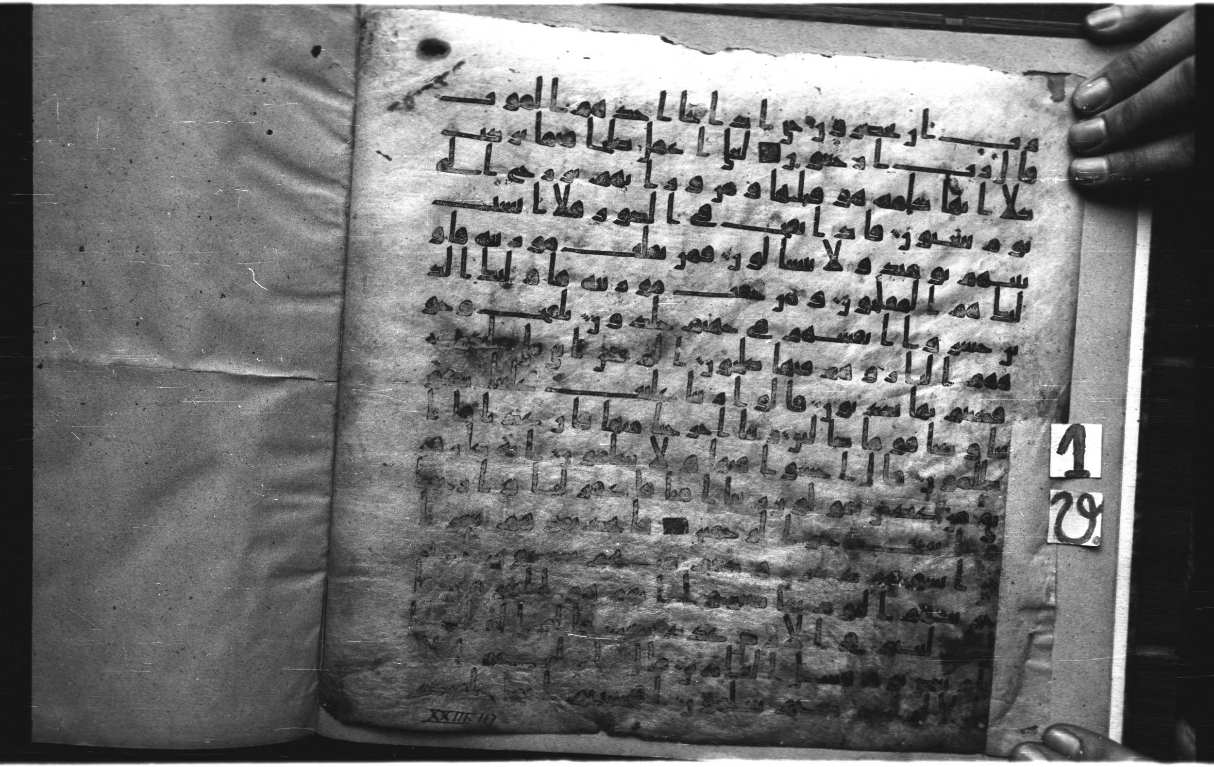 Staatsbibliothek zu Berlin, Ms. or. fol. 4313 (Scan 4), in Ḥiǧāzī (close to type II) script, showing Surah 23:113 from Mid to Late 7th Century AD found in Fustat (Old Cairo), Egypt, currently housed at Staatsbibliothek zu Berlin, Berlin