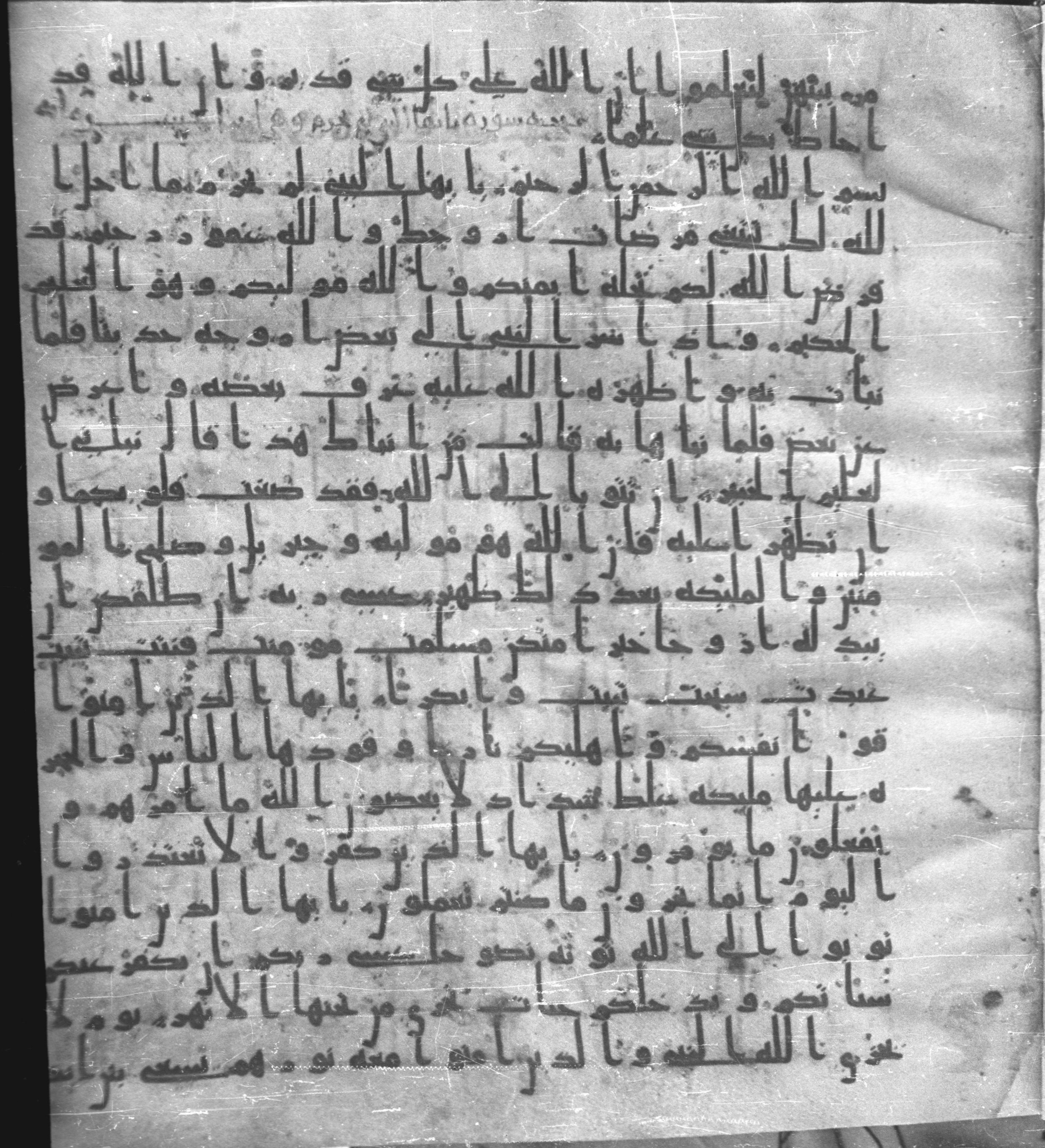 Staatsbibliothek zu Berlin, Ms. or. fol. 4313 (Scan 1), in Ḥiǧāzī (close to type II) script, showing Surah 66:7 from Mid to Late 7th Century AD found in Fustat (Old Cairo), Egypt, currently housed at Staatsbibliothek zu Berlin, Berlin