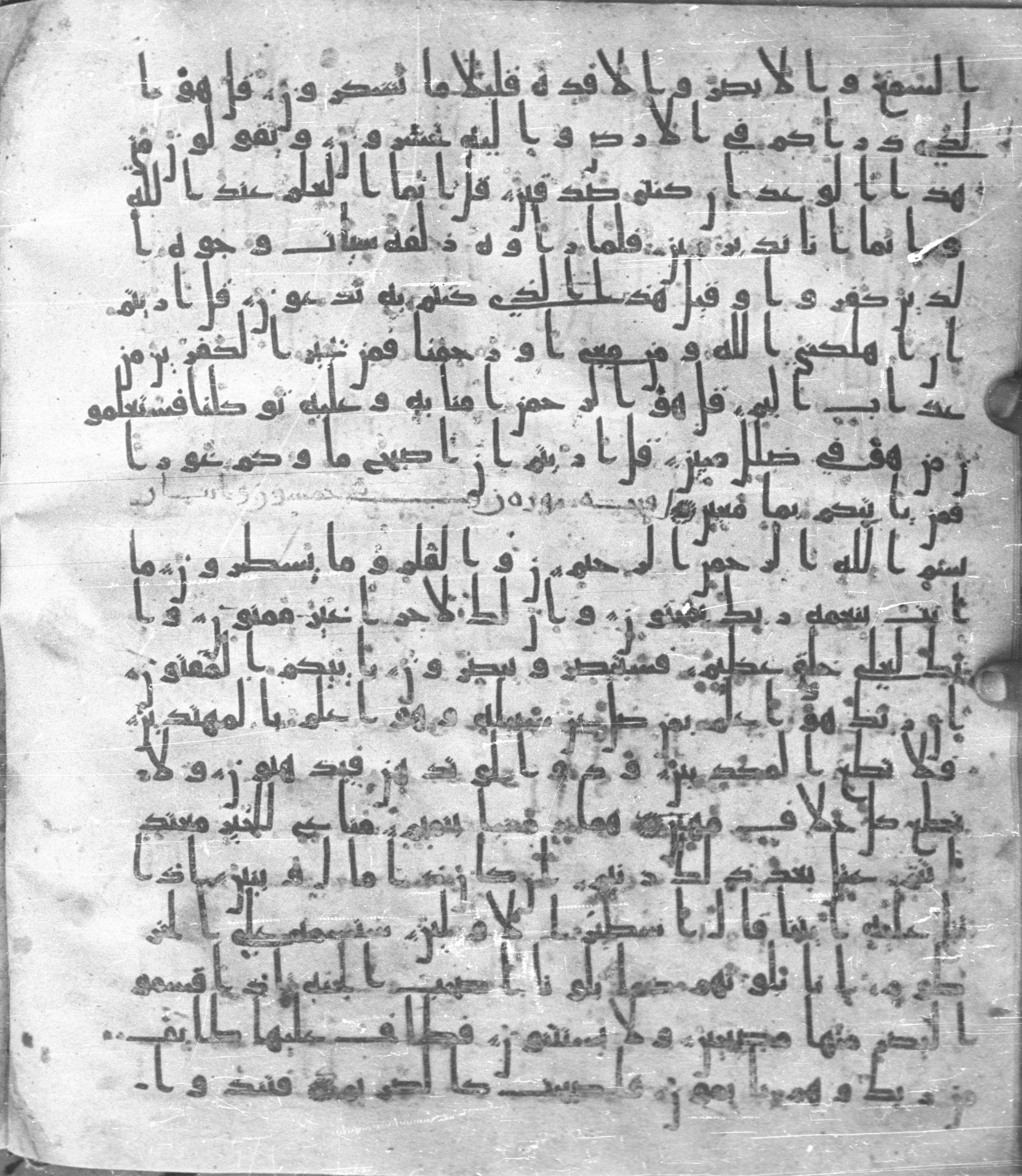 Staatsbibliothek zu Berlin, Ms. or. fol. 4313 (Scan 2), in Ḥiǧāzī (close to type II) script, showing Surah 68:13 from Mid to Late 7th Century AD found in Fustat (Old Cairo), Egypt, currently housed at Staatsbibliothek zu Berlin, Berlin