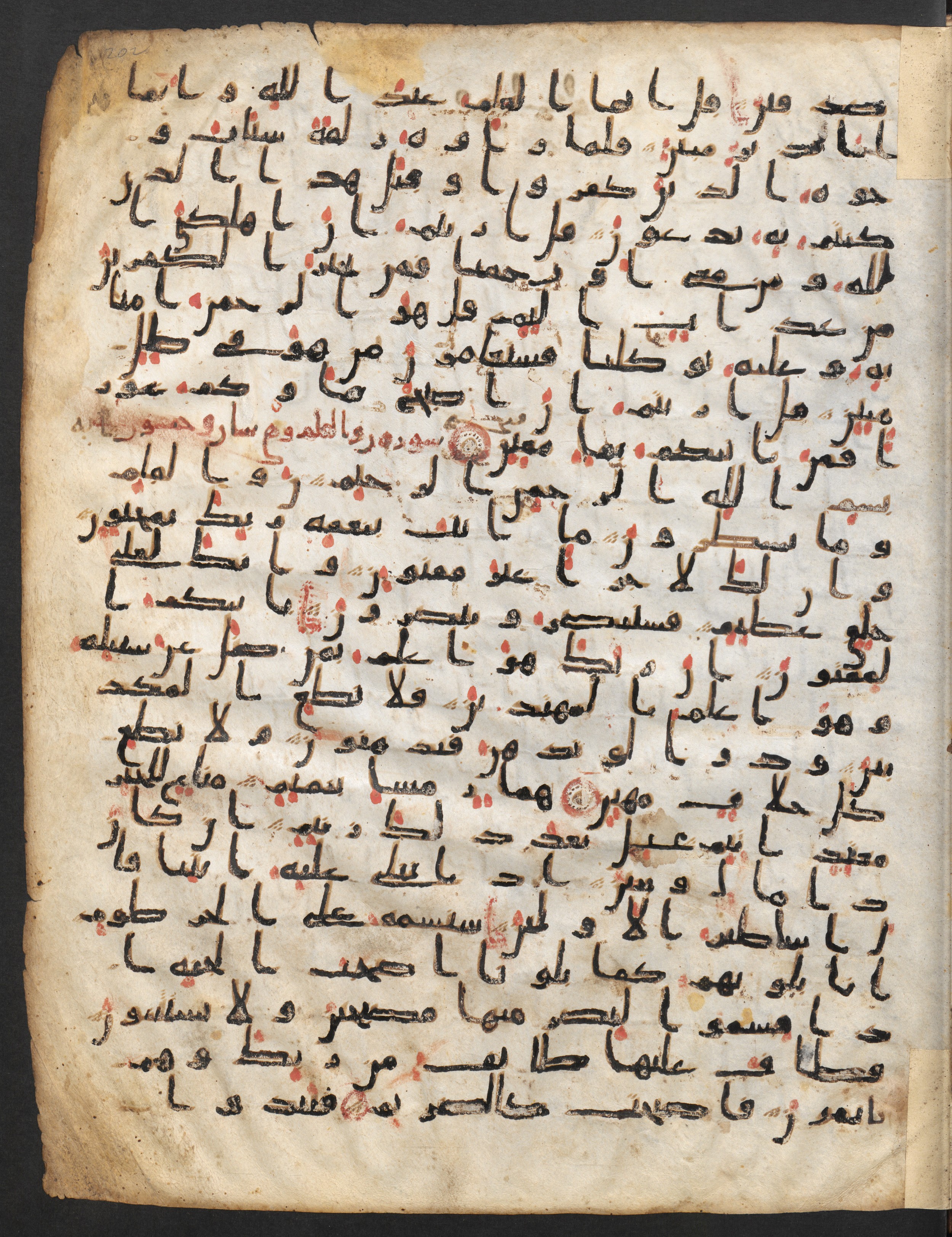 Staatsbibliothek zu Berlin, Ms. or. fol. 4313 (Scan 4), in Ḥiǧāzī (close to type II) script, showing Surah 68:13 from Mid to Late 7th Century AD found in Fustat (Old Cairo), Egypt, currently housed at Staatsbibliothek zu Berlin, Berlin