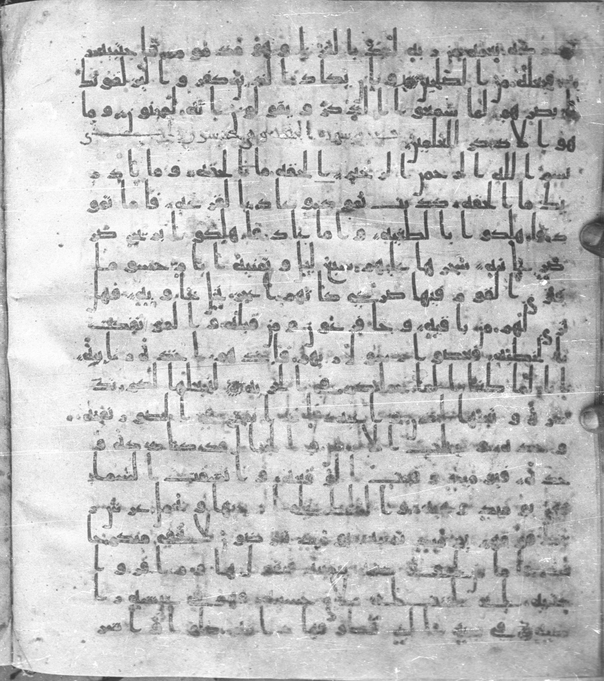 Staatsbibliothek zu Berlin, Ms. or. fol. 4313 (Scan 1), in Ḥiǧāzī (close to type II) script, showing Surah 69:21 from Mid to Late 7th Century AD found in Fustat (Old Cairo), Egypt, currently housed at Staatsbibliothek zu Berlin, Berlin