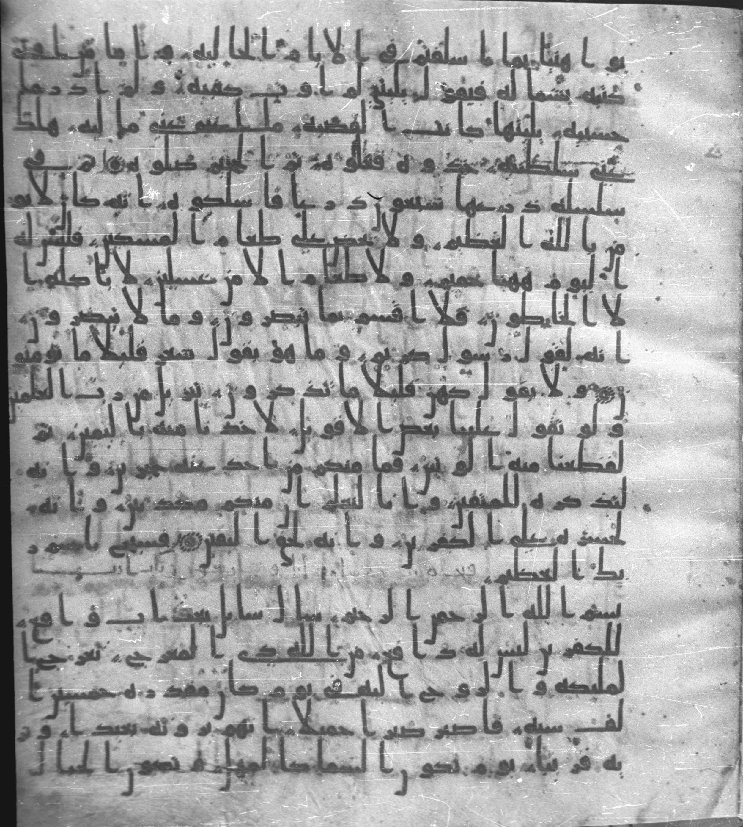 Staatsbibliothek zu Berlin, Ms. or. fol. 4313 (Scan 1), in Ḥiǧāzī (close to type II) script, showing Surah 69:39 from Mid to Late 7th Century AD found in Fustat (Old Cairo), Egypt, currently housed at Staatsbibliothek zu Berlin, Berlin