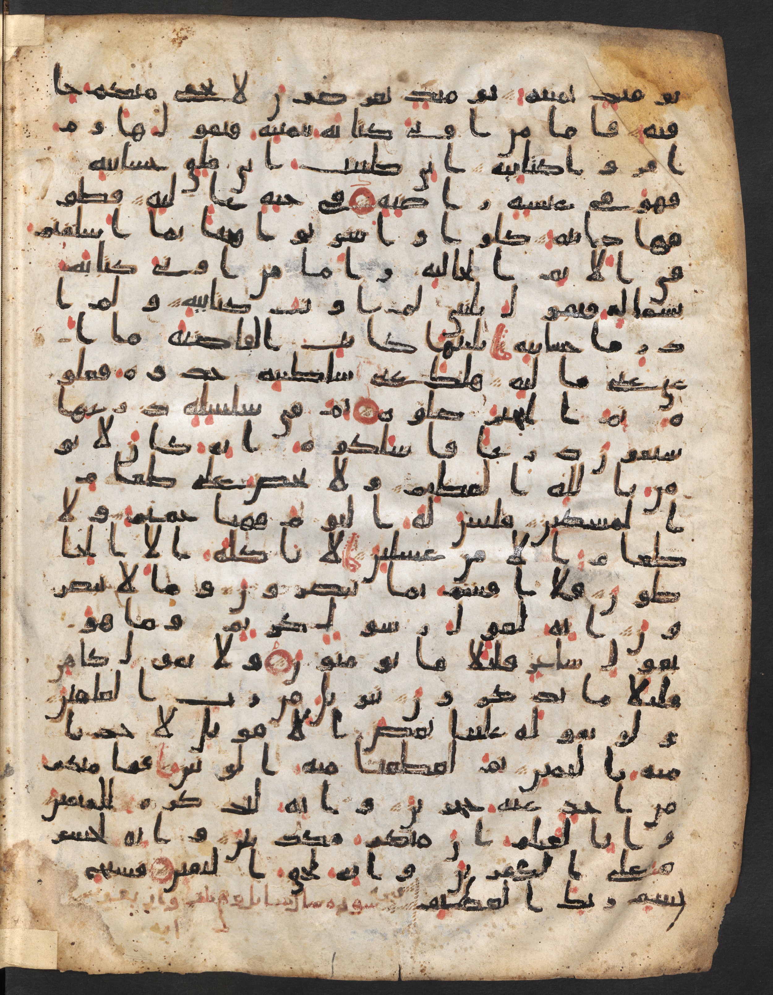 Staatsbibliothek zu Berlin, Ms. or. fol. 4313 (Scan 3), in Ḥiǧāzī (close to type II) script, showing Surah 69:21 from Mid to Late 7th Century AD found in Fustat (Old Cairo), Egypt, currently housed at Staatsbibliothek zu Berlin, Berlin