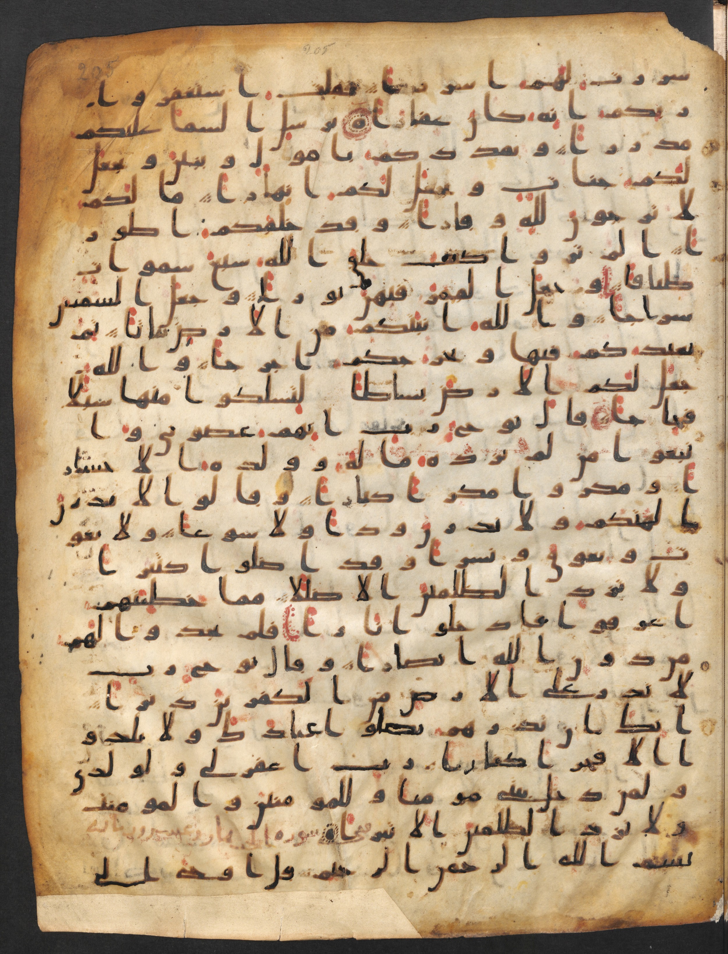 Staatsbibliothek zu Berlin, Ms. or. fol. 4313 (Scan 2), in Ḥiǧāzī (close to type II) script, showing Surah 71:13 from Mid to Late 7th Century AD found in Fustat (Old Cairo), Egypt, currently housed at Staatsbibliothek zu Berlin, Berlin