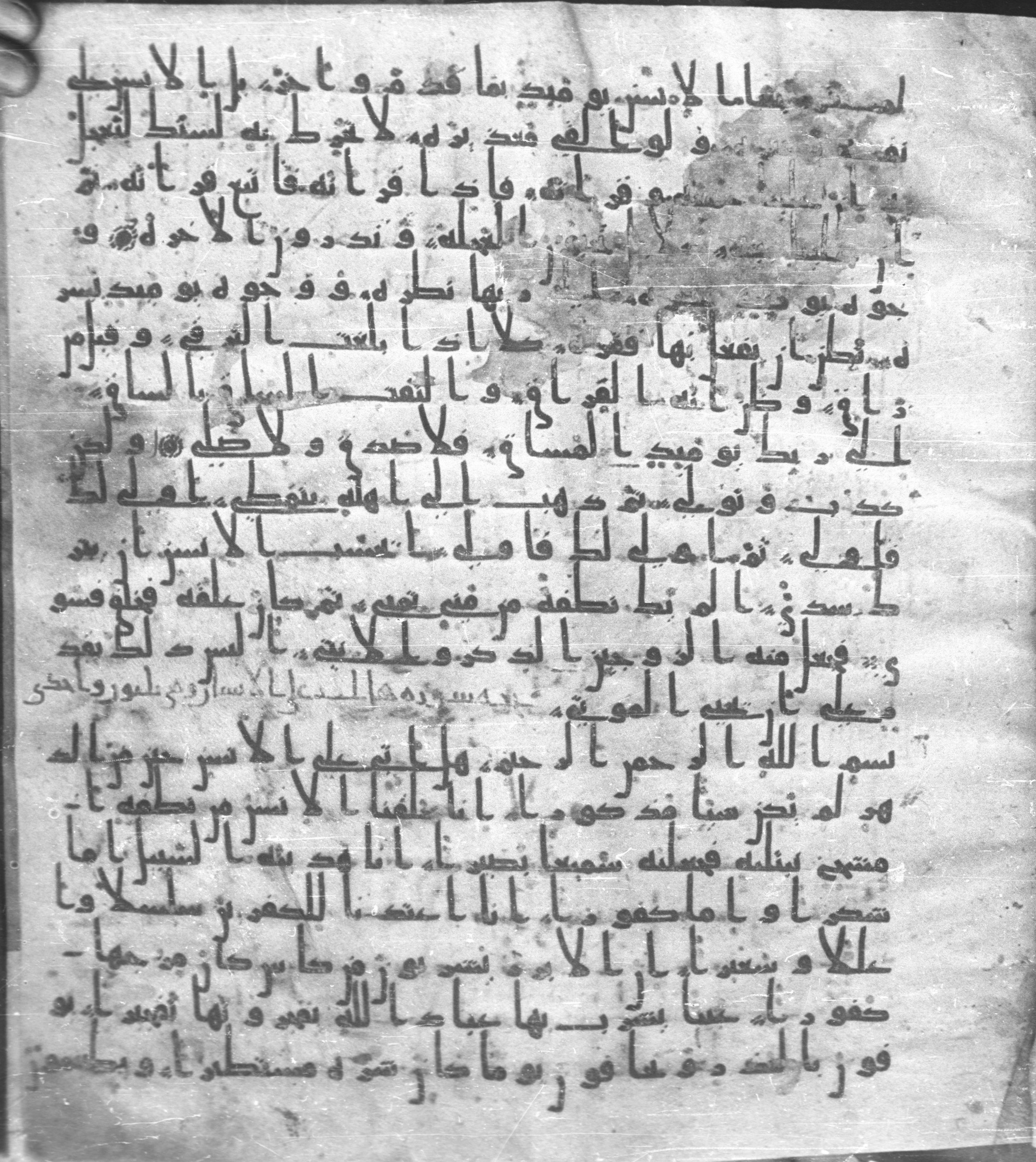 Staatsbibliothek zu Berlin, Ms. or. fol. 4313, in Ḥiǧāzī (close to type II) script, showing Surah 75:21 from Mid to Late 7th Century AD found in Fustat (Old Cairo), Egypt, currently housed at Staatsbibliothek zu Berlin, Berlin
