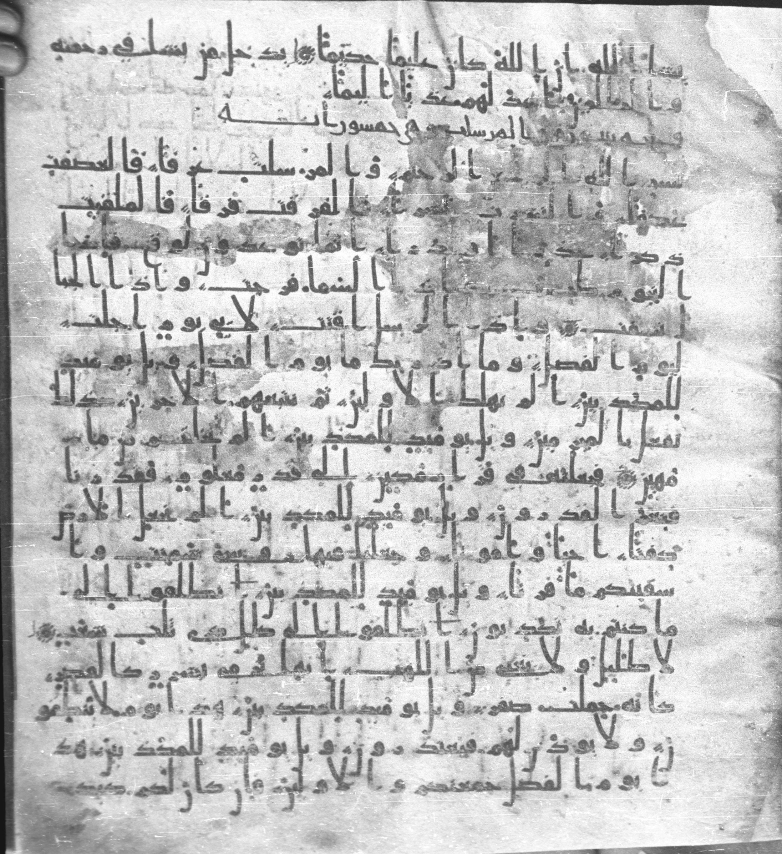 Staatsbibliothek zu Berlin, Ms. or. fol. 4313, in Ḥiǧāzī (close to type II) script, showing Surah 77:21 from Mid to Late 7th Century AD found in Fustat (Old Cairo), Egypt, currently housed at Staatsbibliothek zu Berlin, Berlin