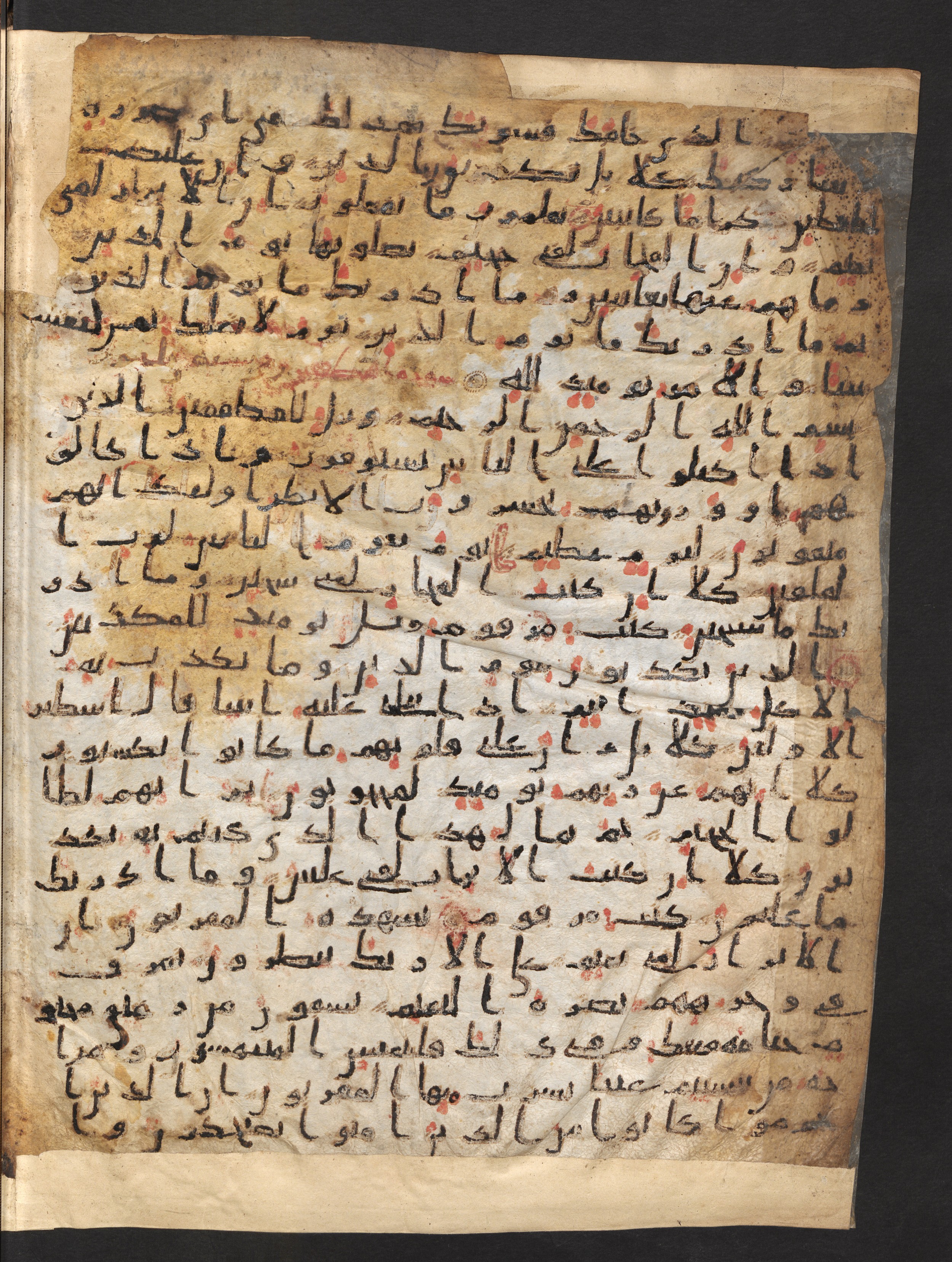 Staatsbibliothek zu Berlin, Ms. or. fol. 4313 (Scan 1), in Ḥiǧāzī (close to type II) script, showing Surah 83:21 from Mid to Late 7th Century AD found in Fustat (Old Cairo), Egypt, currently housed at Staatsbibliothek zu Berlin, Berlin
