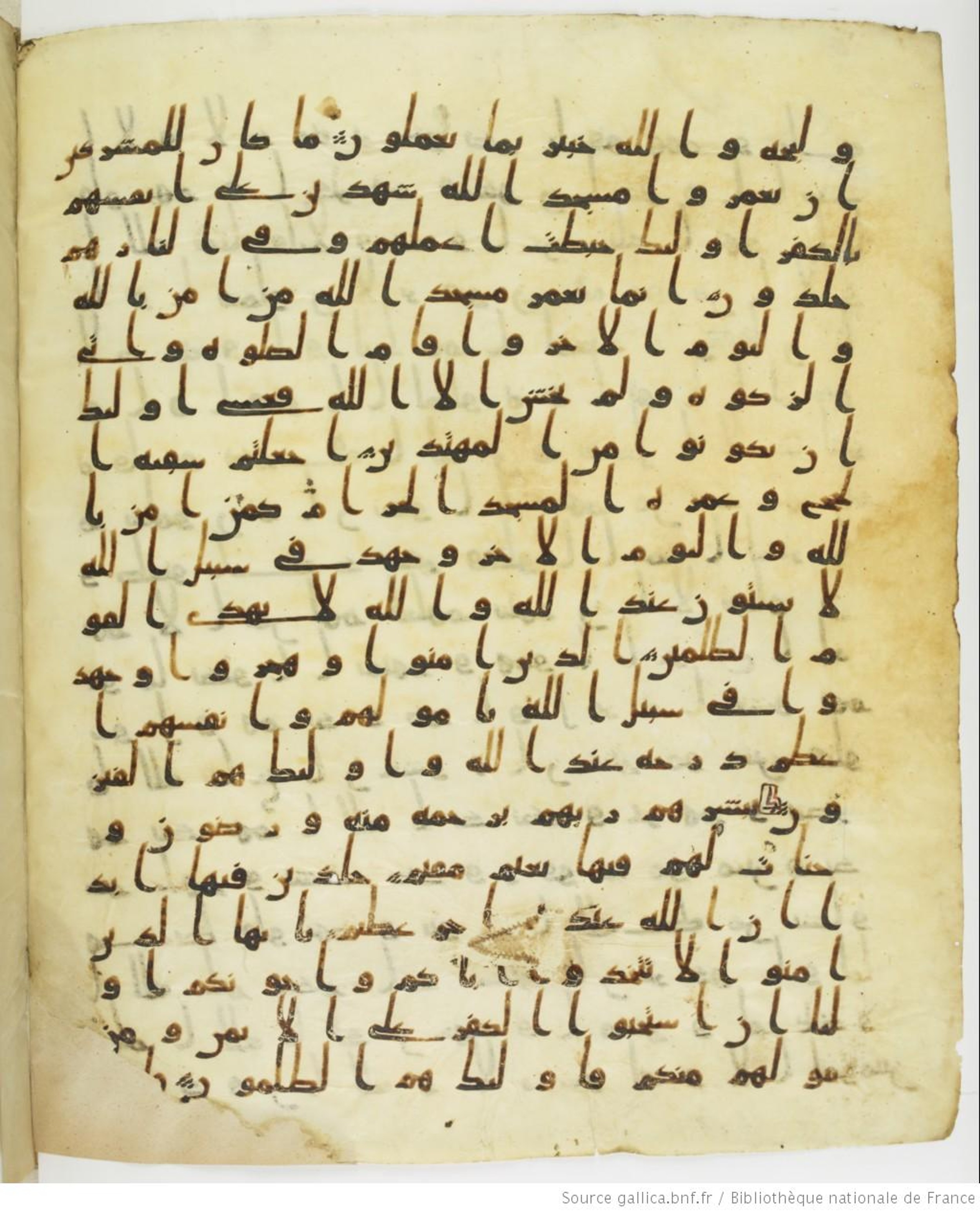 Staatsbibliothek zu Berlin, Ms. or. fol. 4313 (Scan 1), in Ḥiǧāzī (close to type II) script, showing Surah 9:21 from Mid to Late 7th Century AD found in Fustat (Old Cairo), Egypt, currently housed at Staatsbibliothek zu Berlin, Berlin
