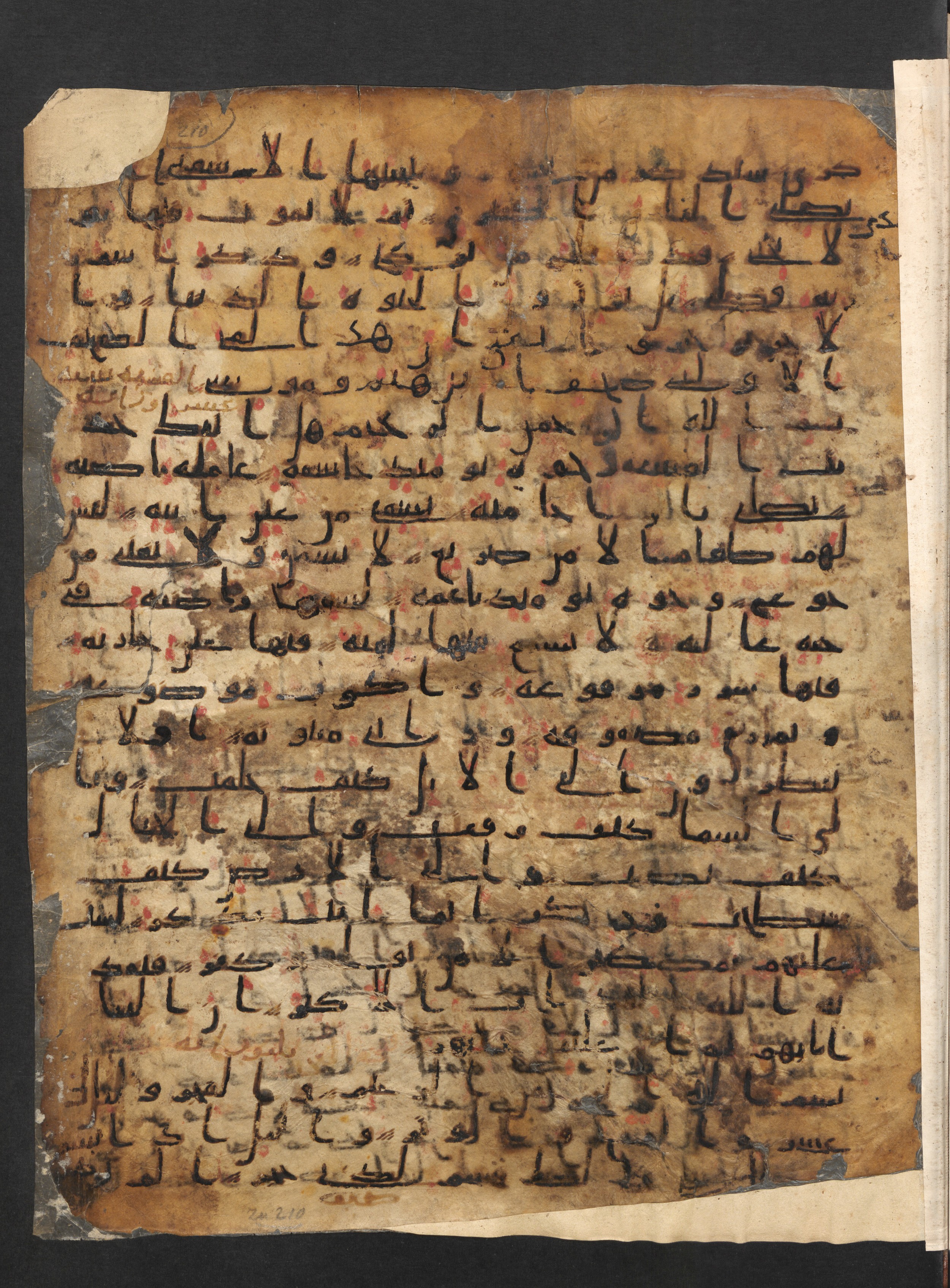 Staatsbibliothek zu Berlin, Ms. or. fol. 4313 (Scan 1), in Ḥiǧāzī (close to type II) script, showing Surah 88:21 from Mid to Late 7th Century AD found in Fustat (Old Cairo), Egypt, currently housed at Staatsbibliothek zu Berlin, Berlin