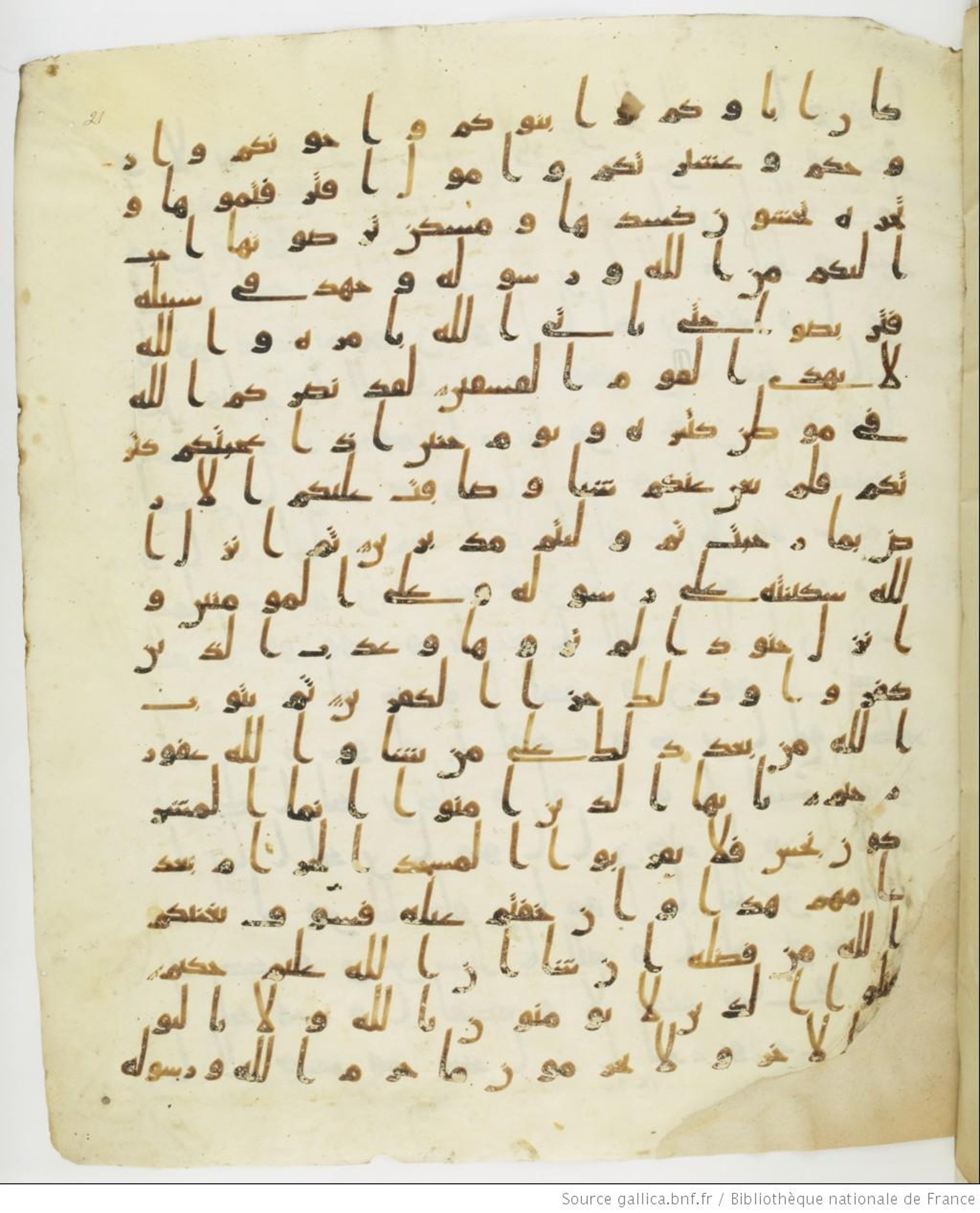 Staatsbibliothek zu Berlin, Ms. or. fol. 4313 (Scan 1), in Ḥiǧāzī (close to type II) script, showing Surah 9:29 from Mid to Late 7th Century AD found in Fustat (Old Cairo), Egypt, currently housed at Staatsbibliothek zu Berlin, Berlin