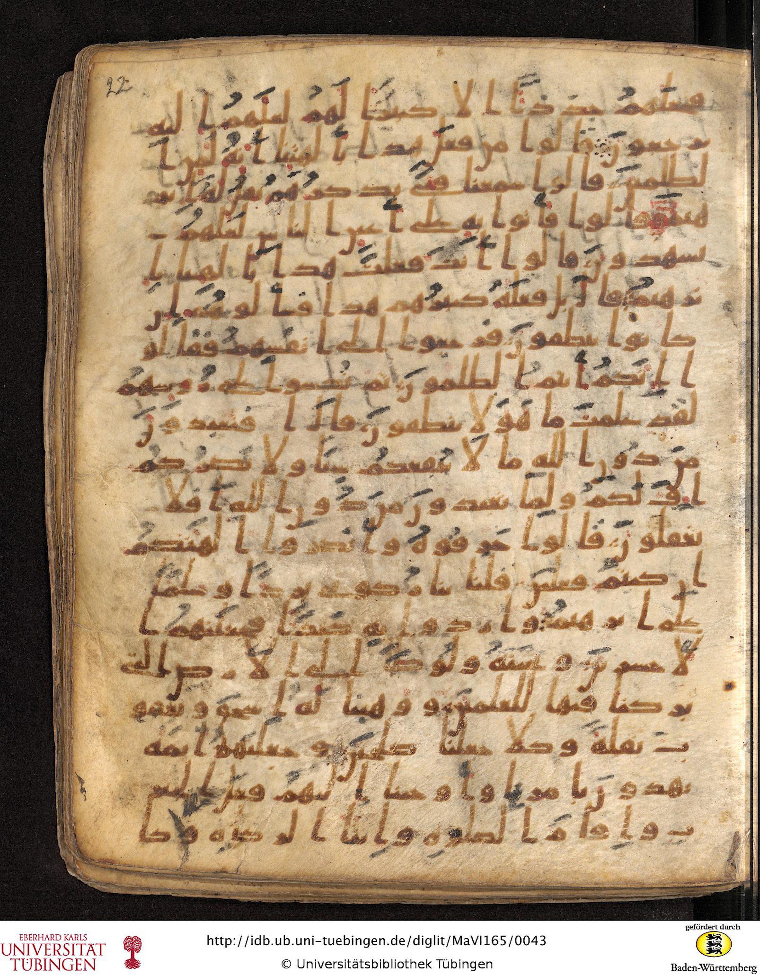 Staatsbibliothek zu Berlin, Ms. or. fol. 4313 (Scan 3), in Ḥiǧāzī (close to type II) script, showing Surah 21:67 from Mid to Late 7th Century AD found in Fustat (Old Cairo), Egypt, currently housed at Staatsbibliothek zu Berlin, Berlin