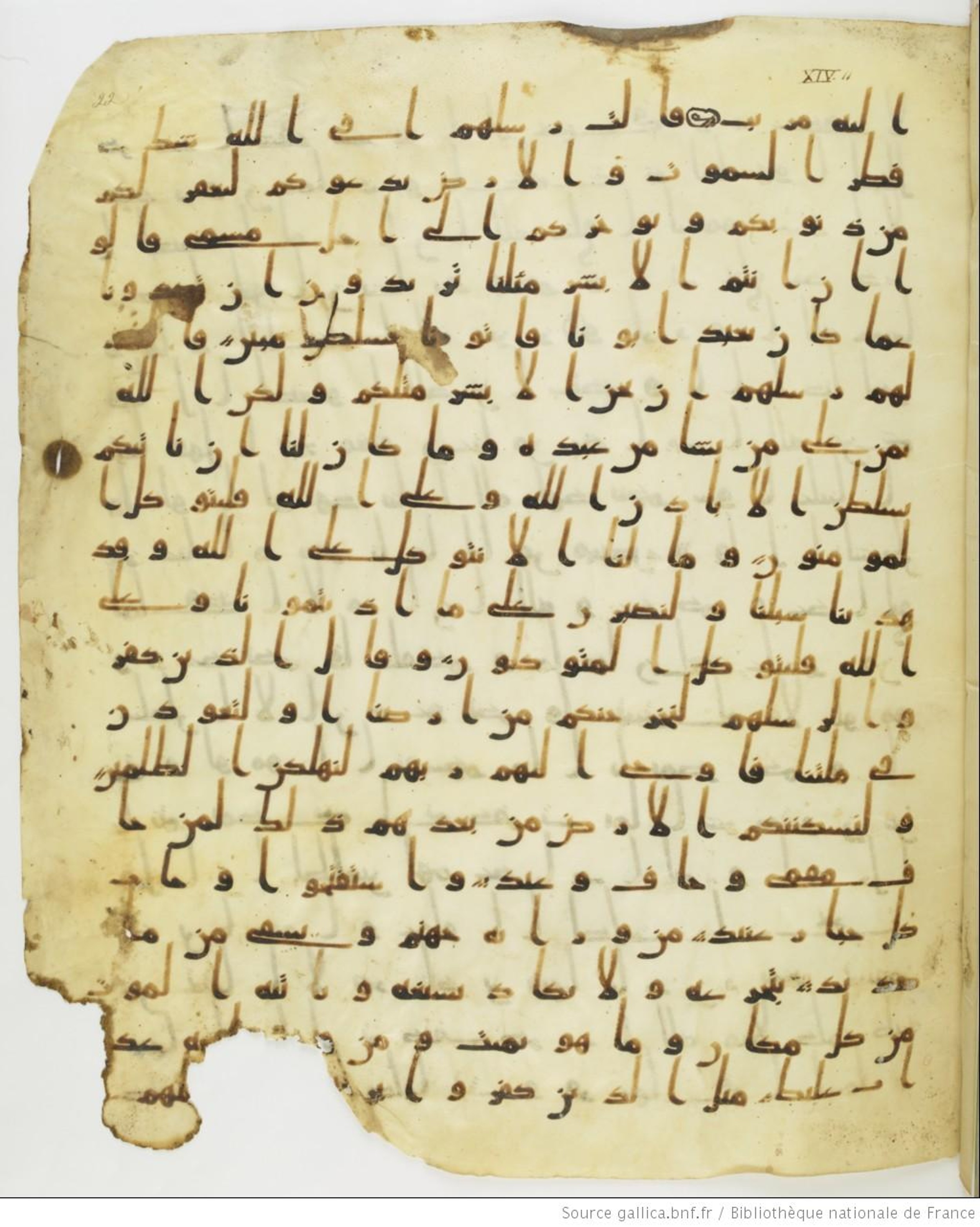 Staatsbibliothek zu Berlin, Ms. or. fol. 4313 (Scan 1), in Ḥiǧāzī (close to type II) script, showing Surah 14:13 from Mid to Late 7th Century AD found in Fustat (Old Cairo), Egypt, currently housed at Staatsbibliothek zu Berlin, Berlin