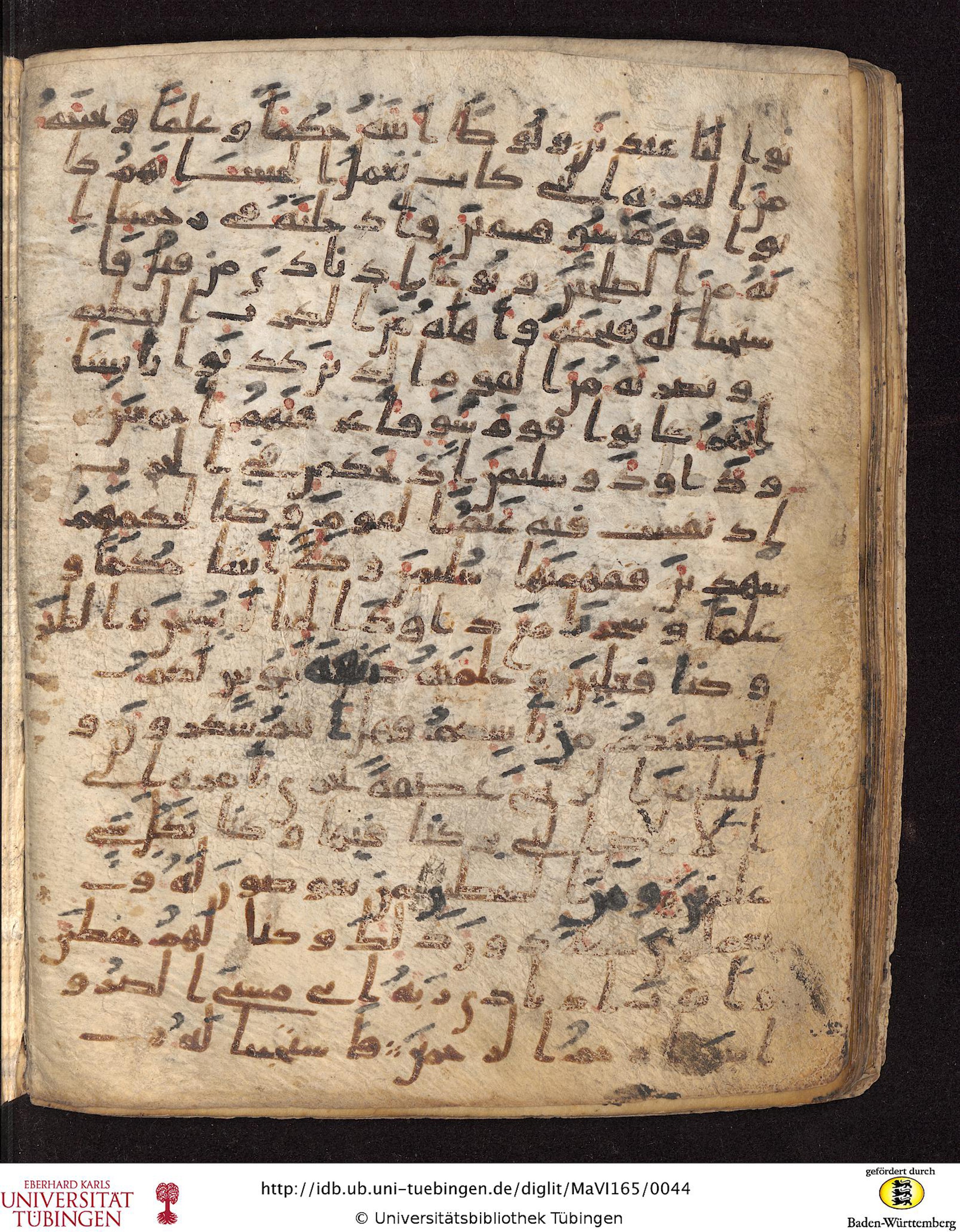 Staatsbibliothek zu Berlin, Ms. or. fol. 4313 (Scan 4), in Ḥiǧāzī (close to type II) script, showing Surah 21:83 from Mid to Late 7th Century AD found in Fustat (Old Cairo), Egypt, currently housed at Staatsbibliothek zu Berlin, Berlin