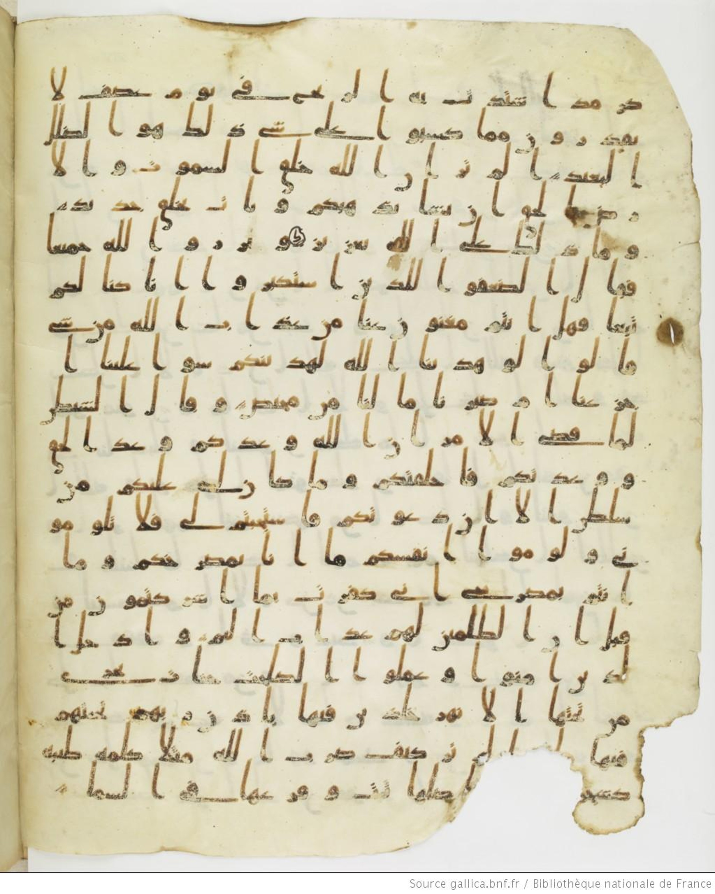 Staatsbibliothek zu Berlin, Ms. or. fol. 4313 (Scan 1), in Ḥiǧāzī (close to type II) script, showing Surah 14:21 from Mid to Late 7th Century AD found in Fustat (Old Cairo), Egypt, currently housed at Staatsbibliothek zu Berlin, Berlin
