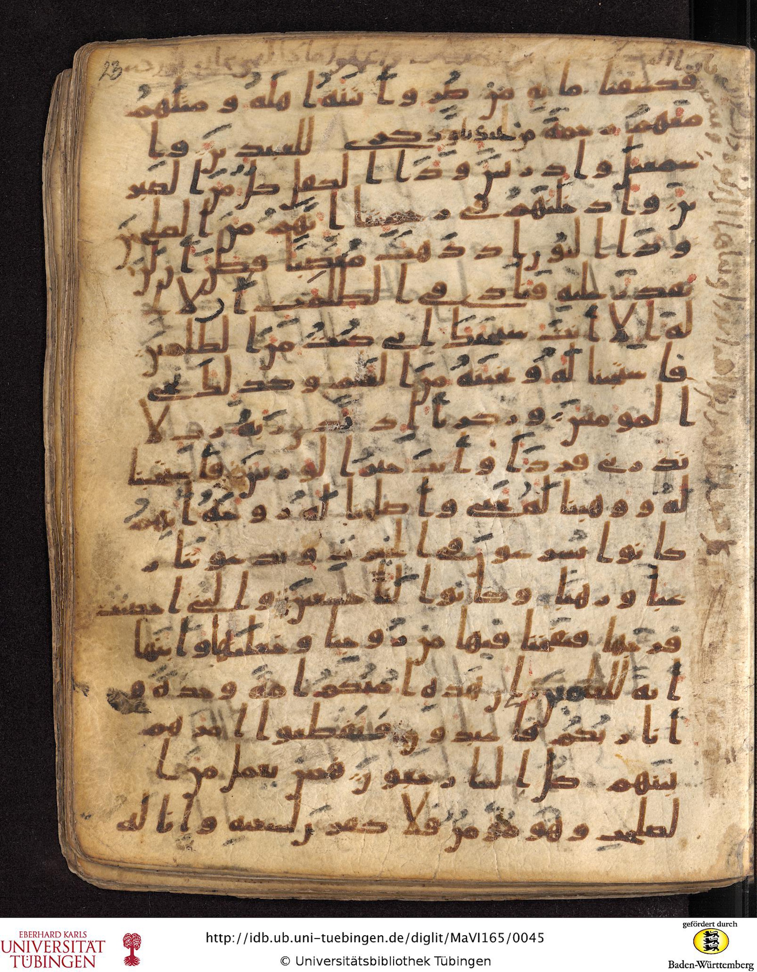 Staatsbibliothek zu Berlin, Ms. or. fol. 4313 (Scan 4), in Ḥiǧāzī (close to type II) script, showing Surah 21:87 from Mid to Late 7th Century AD found in Fustat (Old Cairo), Egypt, currently housed at Staatsbibliothek zu Berlin, Berlin