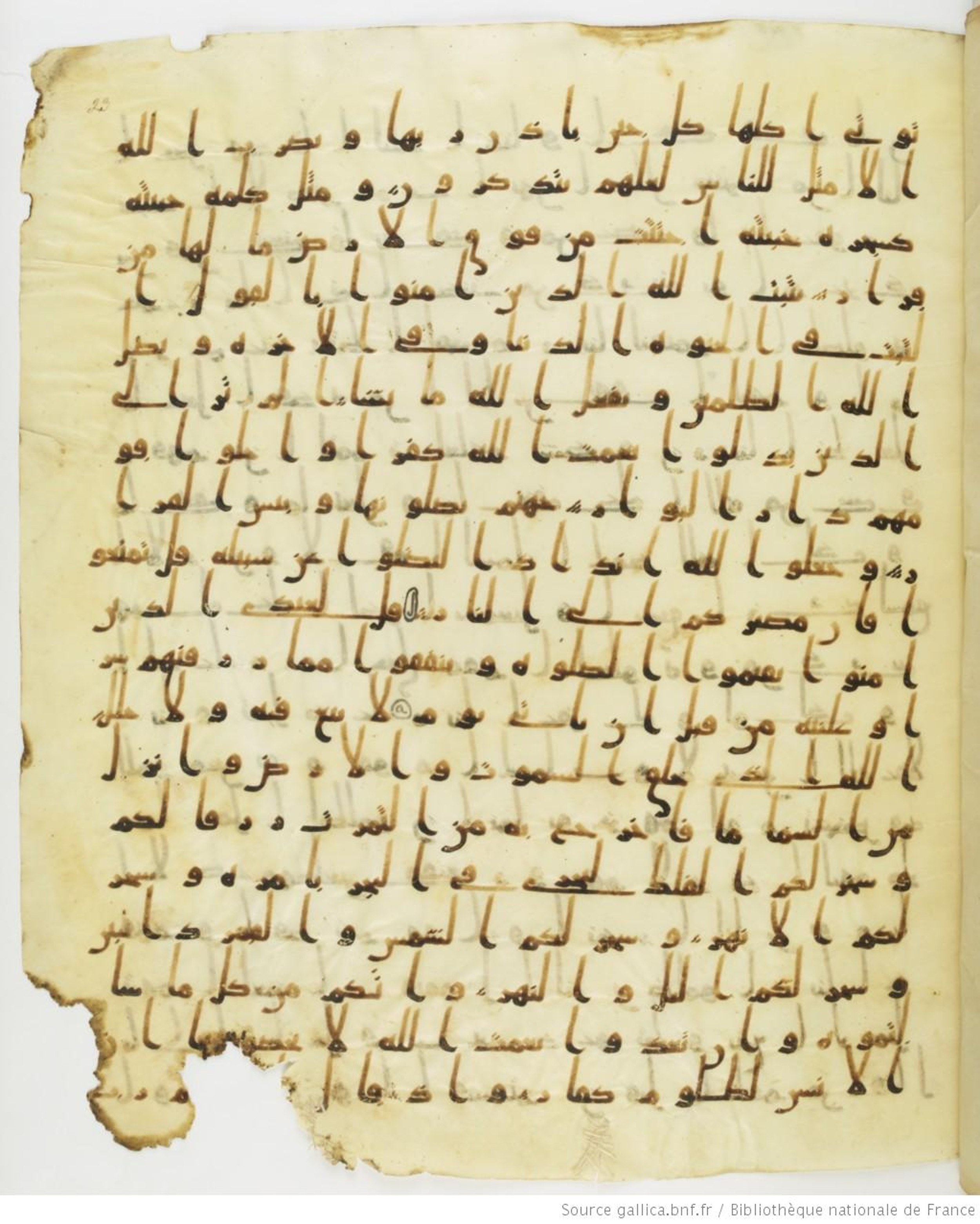 Staatsbibliothek zu Berlin, Ms. or. fol. 4313 (Scan 1), in Ḥiǧāzī (close to type II) script, showing Surah 14:32 from Mid to Late 7th Century AD found in Fustat (Old Cairo), Egypt, currently housed at Staatsbibliothek zu Berlin, Berlin