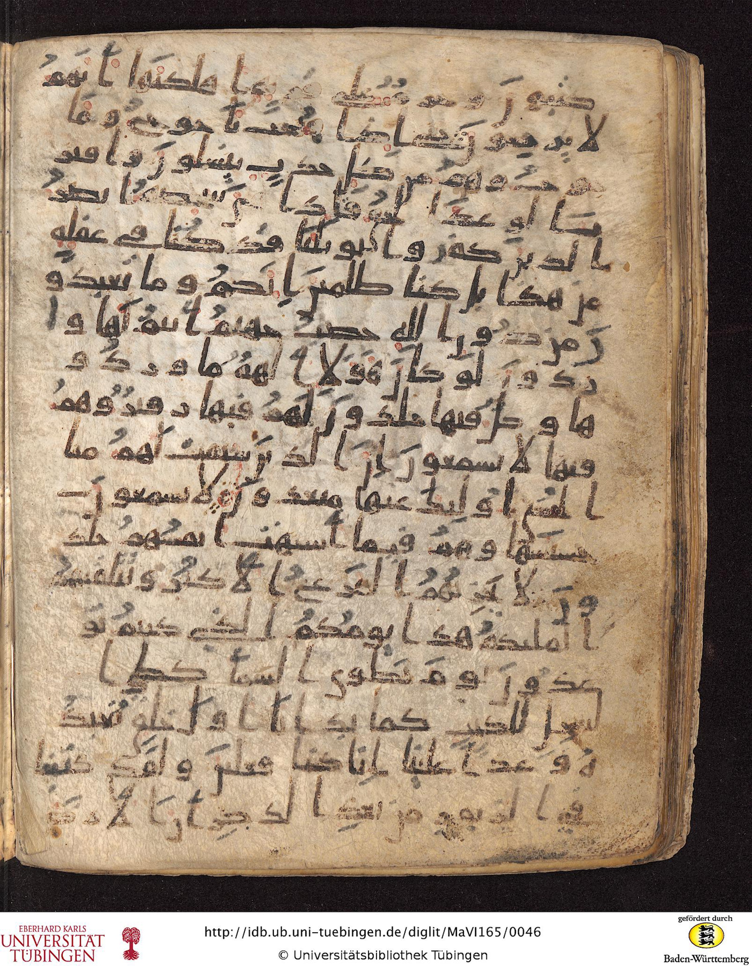 Staatsbibliothek zu Berlin, Ms. or. fol. 4313 (Scan 3), in Ḥiǧāzī (close to type II) script, showing Surah 21:98 from Mid to Late 7th Century AD found in Fustat (Old Cairo), Egypt, currently housed at Staatsbibliothek zu Berlin, Berlin