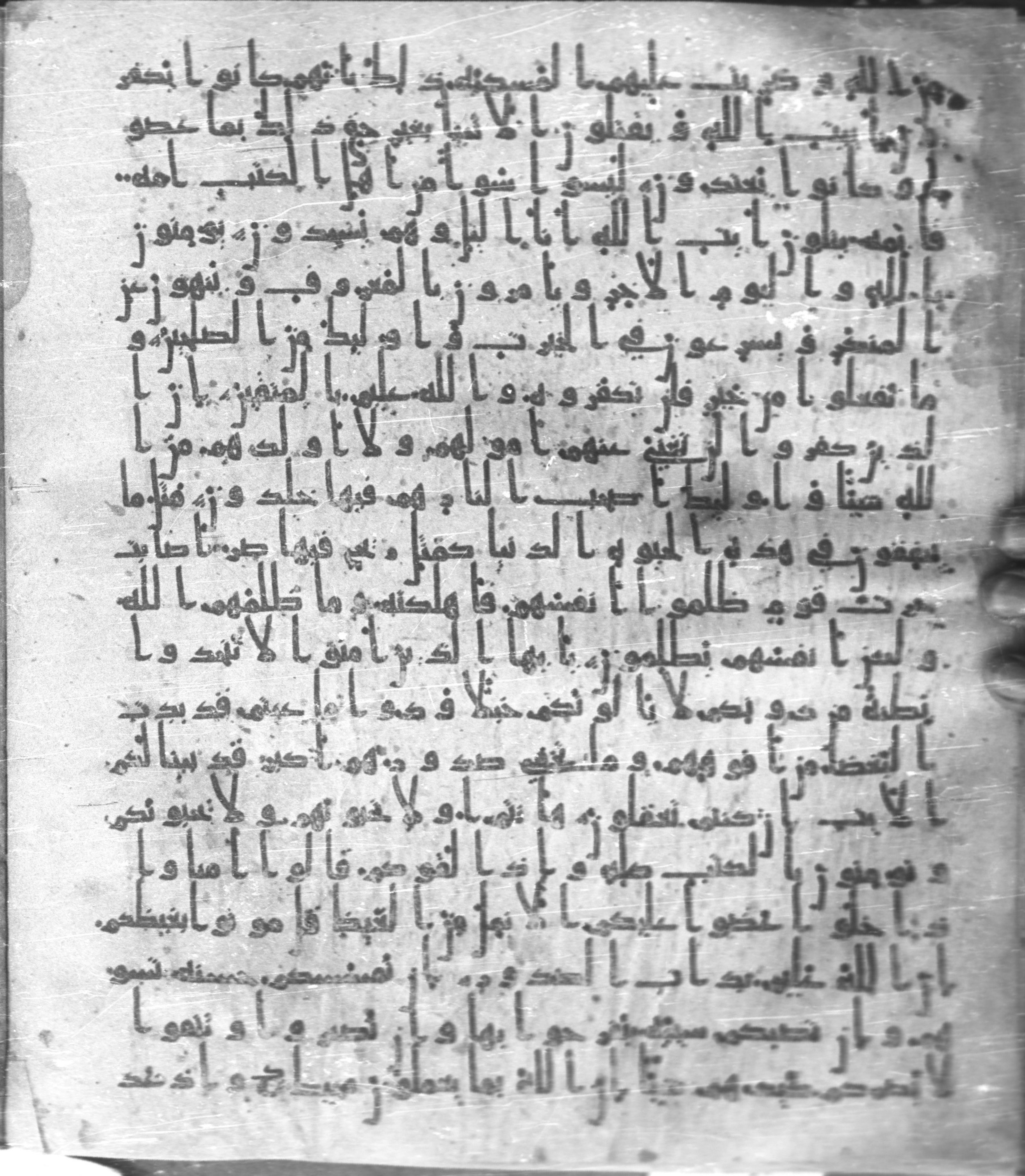 Staatsbibliothek zu Berlin, Ms. or. fol. 4313 (Scan 2), in Ḥiǧāzī (close to type II) script, showing Surah 3:116 from Mid to Late 7th Century AD found in Fustat (Old Cairo), Egypt, currently housed at Staatsbibliothek zu Berlin, Berlin
