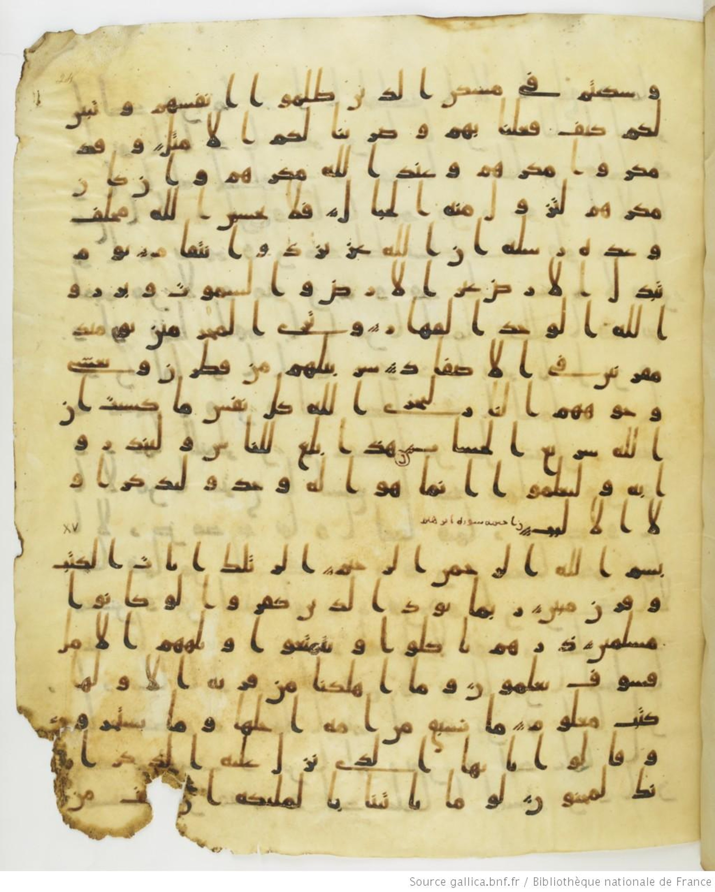 Staatsbibliothek zu Berlin, Ms. or. fol. 4313 (Scan 1), in Ḥiǧāzī (close to type II) script, showing Surah 14:49 from Mid to Late 7th Century AD found in Fustat (Old Cairo), Egypt, currently housed at Staatsbibliothek zu Berlin, Berlin