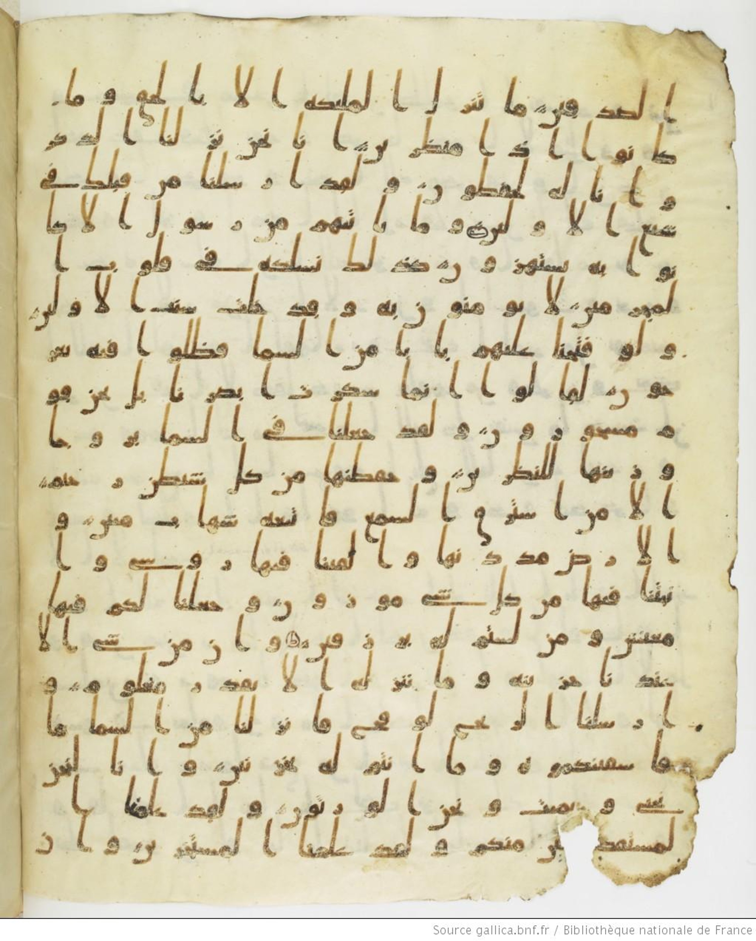 Staatsbibliothek zu Berlin, Ms. or. fol. 4313 (Scan 1), in Ḥiǧāzī (close to type II) script, showing Surah 15:13 from Mid to Late 7th Century AD found in Fustat (Old Cairo), Egypt, currently housed at Staatsbibliothek zu Berlin, Berlin