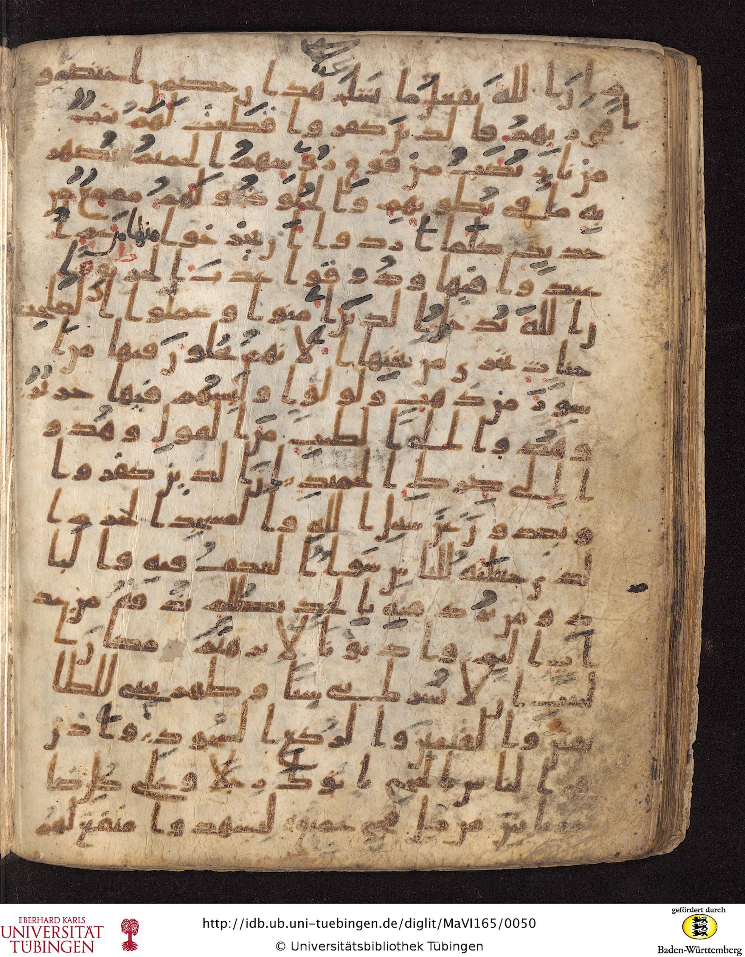 Staatsbibliothek zu Berlin, Ms. or. fol. 4313 (Scan 4), in Ḥiǧāzī (close to type II) script, showing Surah 22:21 from Mid to Late 7th Century AD found in Fustat (Old Cairo), Egypt, currently housed at Staatsbibliothek zu Berlin, Berlin
