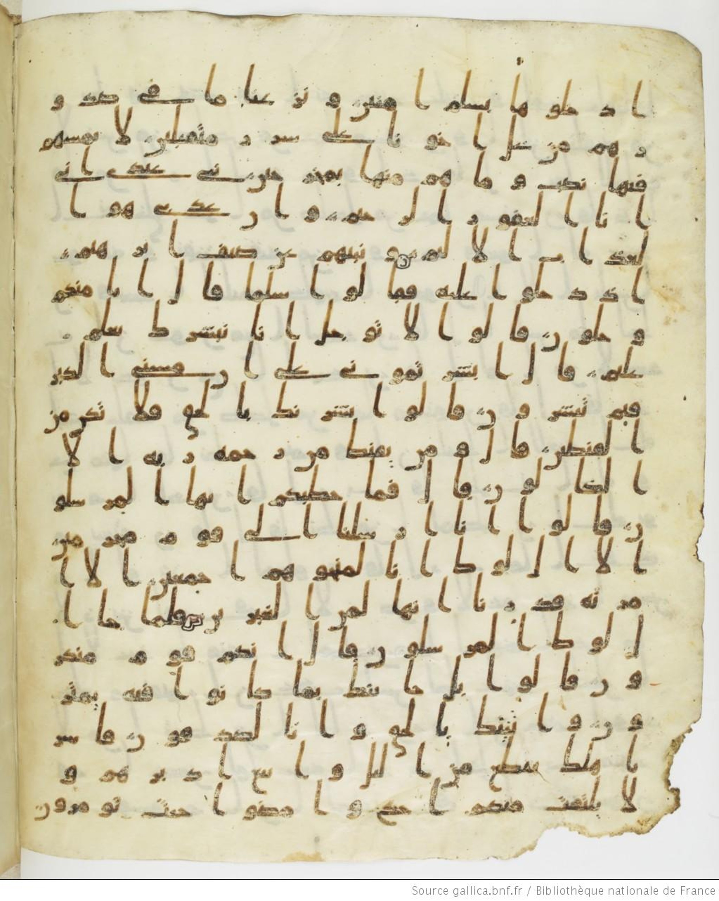 Staatsbibliothek zu Berlin, Ms. or. fol. 4313 (Scan 2), in Ḥiǧāzī (close to type II) script, showing Surah 15:49 from Mid to Late 7th Century AD found in Fustat (Old Cairo), Egypt, currently housed at Staatsbibliothek zu Berlin, Berlin